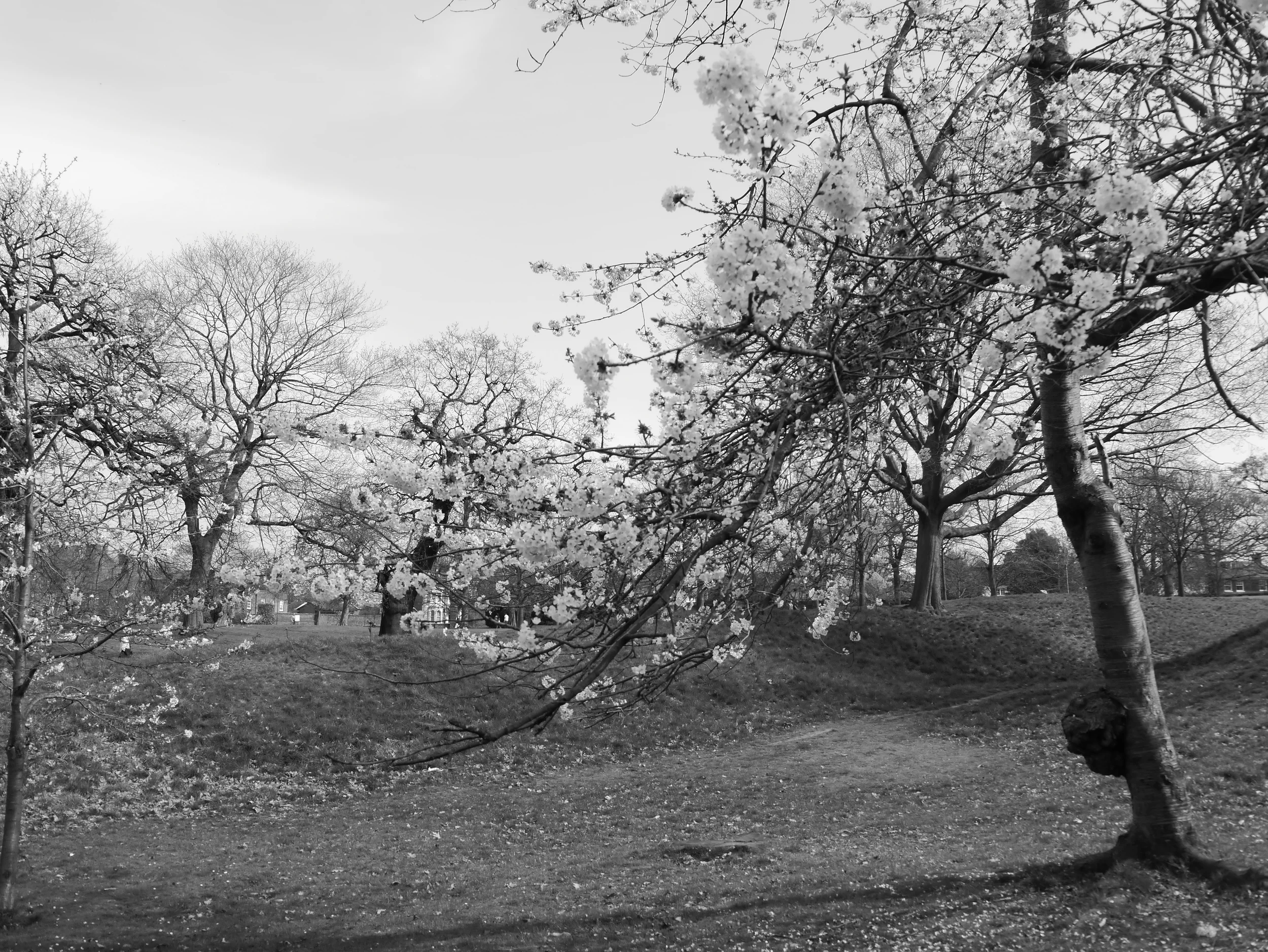  BW10 