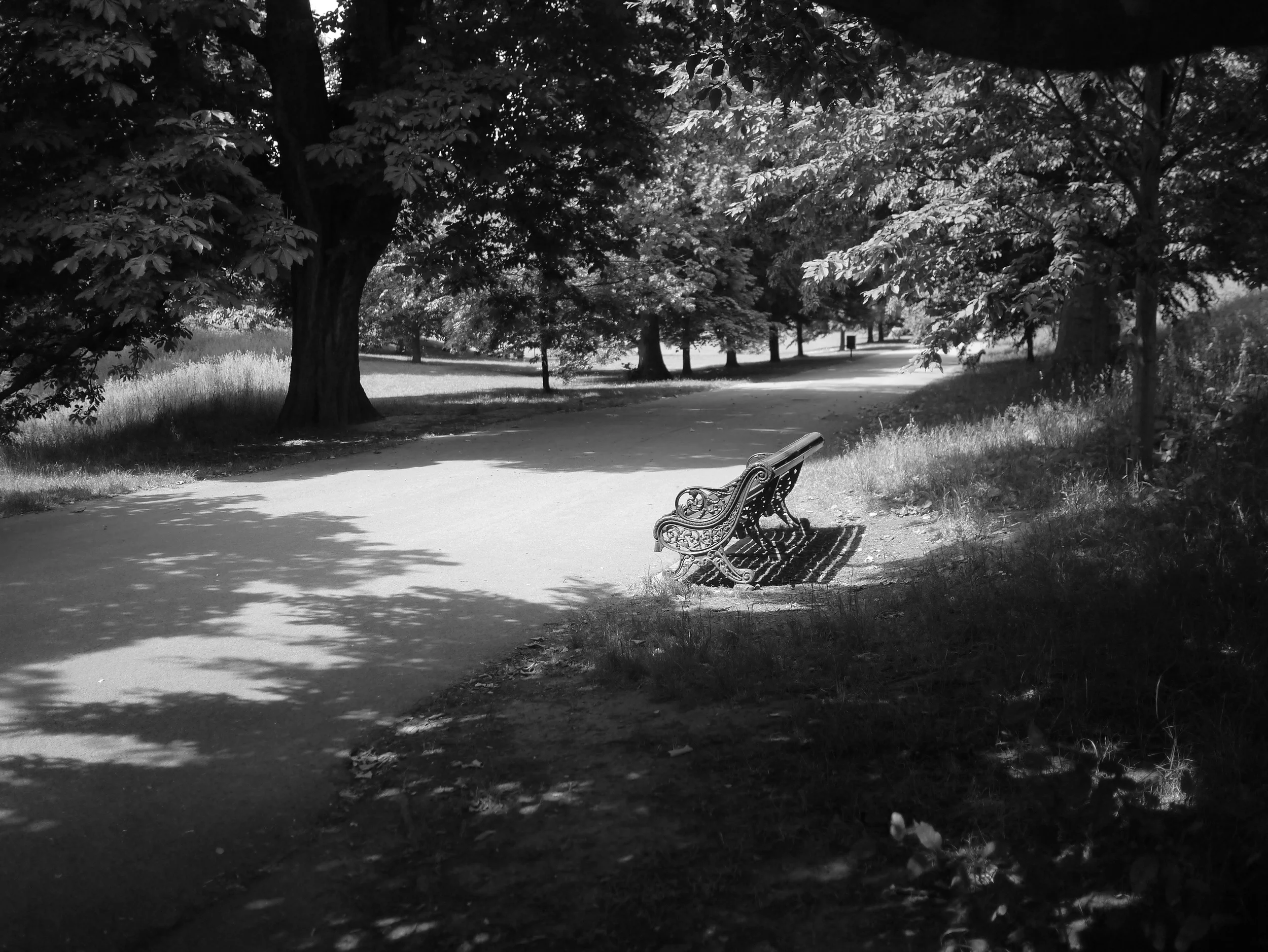  BW38 