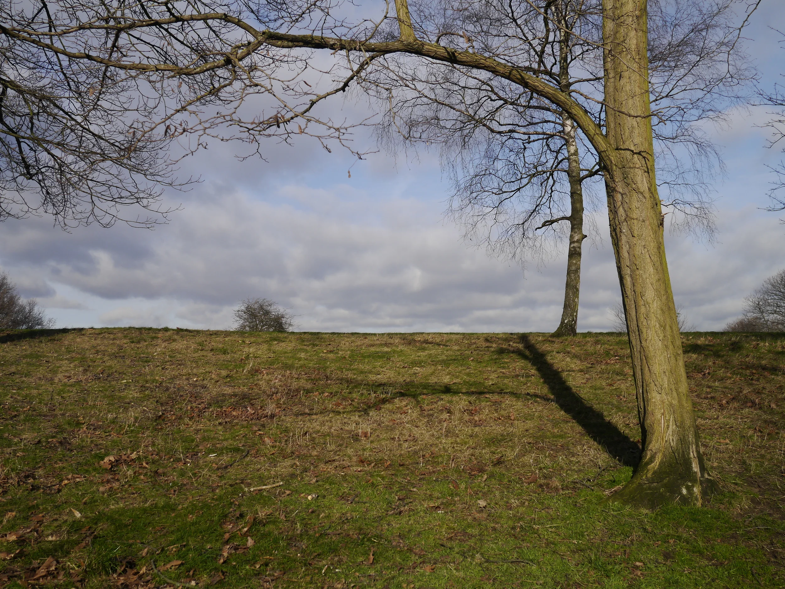 _1050304.JPG