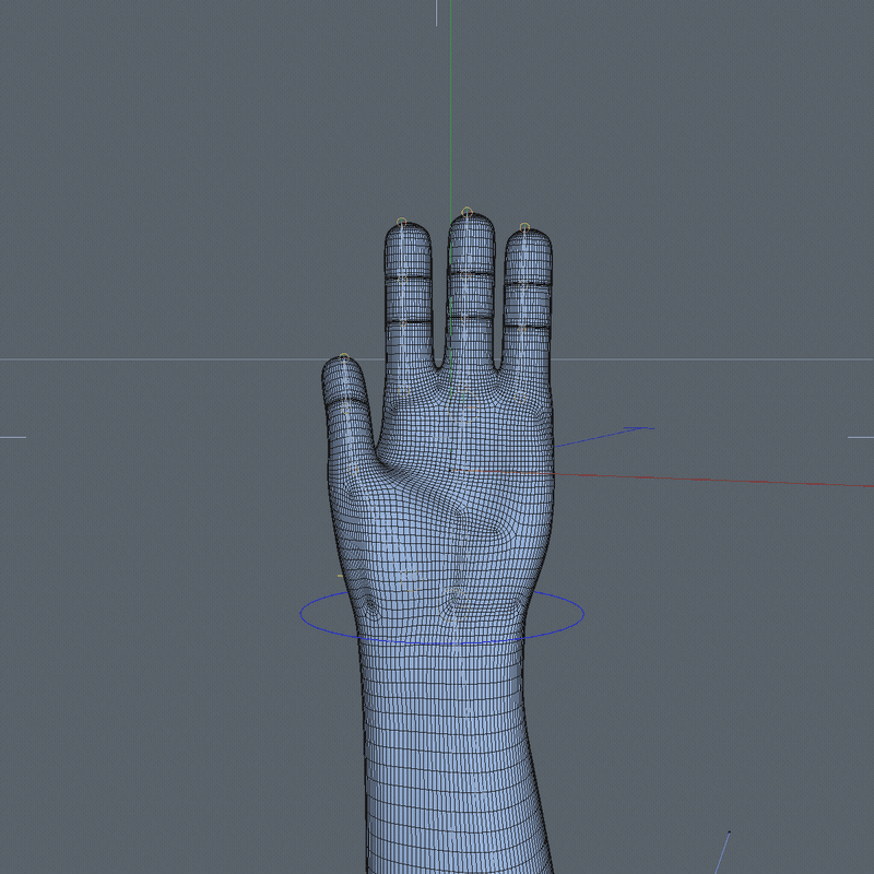 Hand_model_02_Hardware.gif