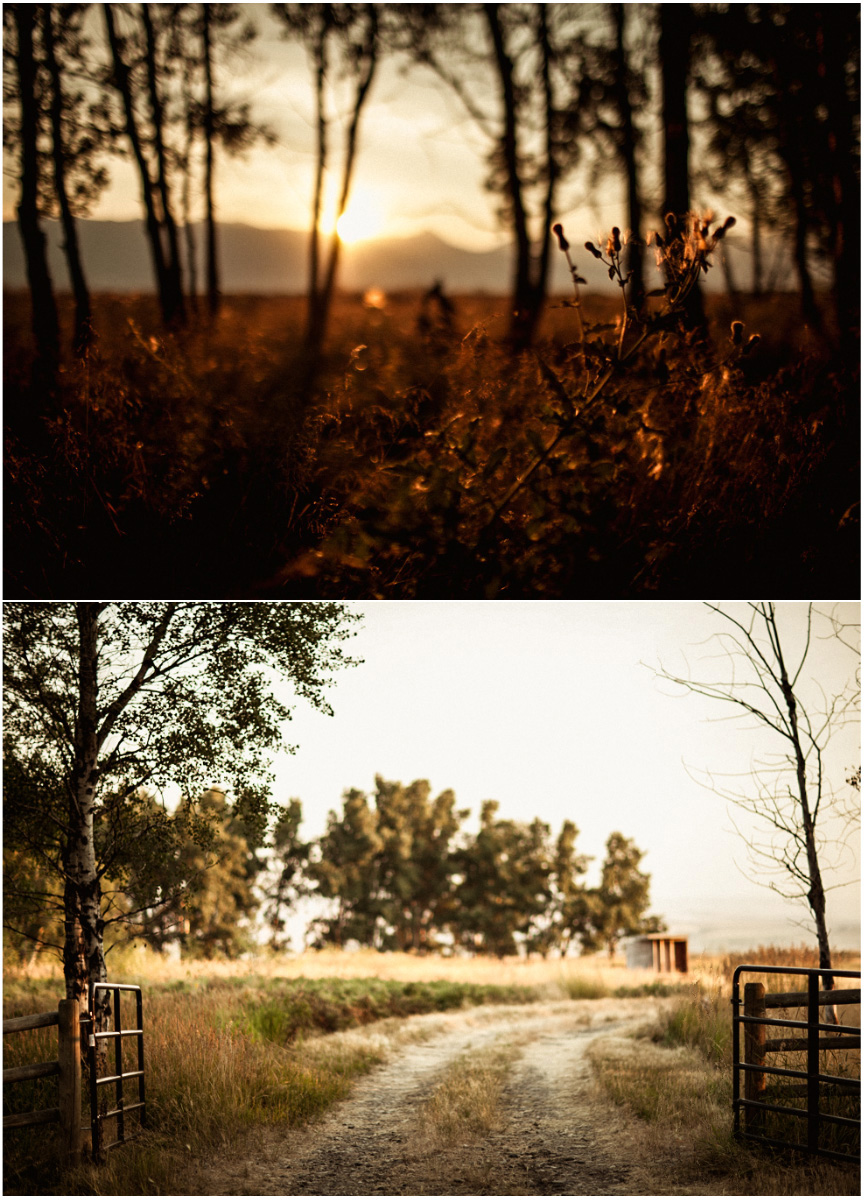 Untitled-1.jpg