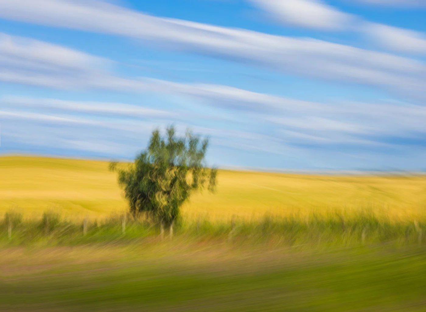 y0I0A0235_2.jpg