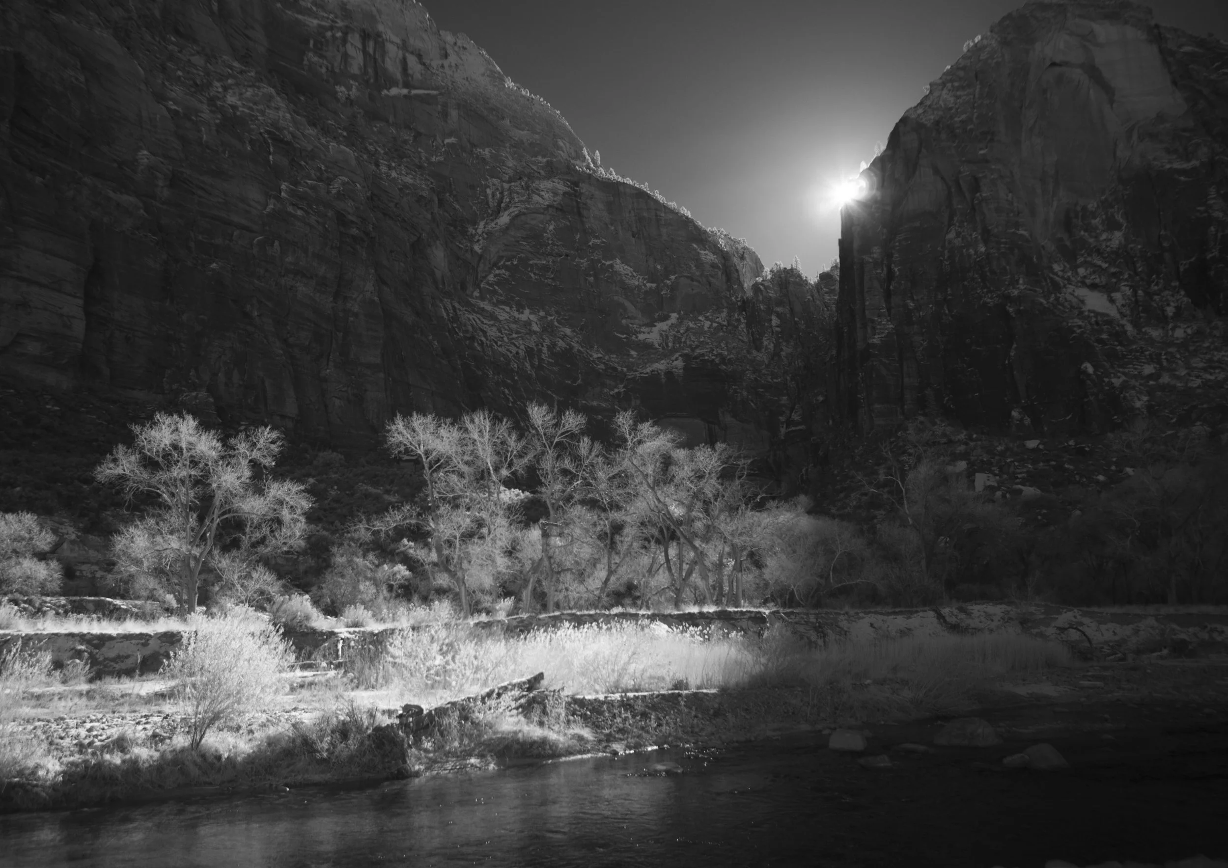SW1212_Zion_cliff.jpg