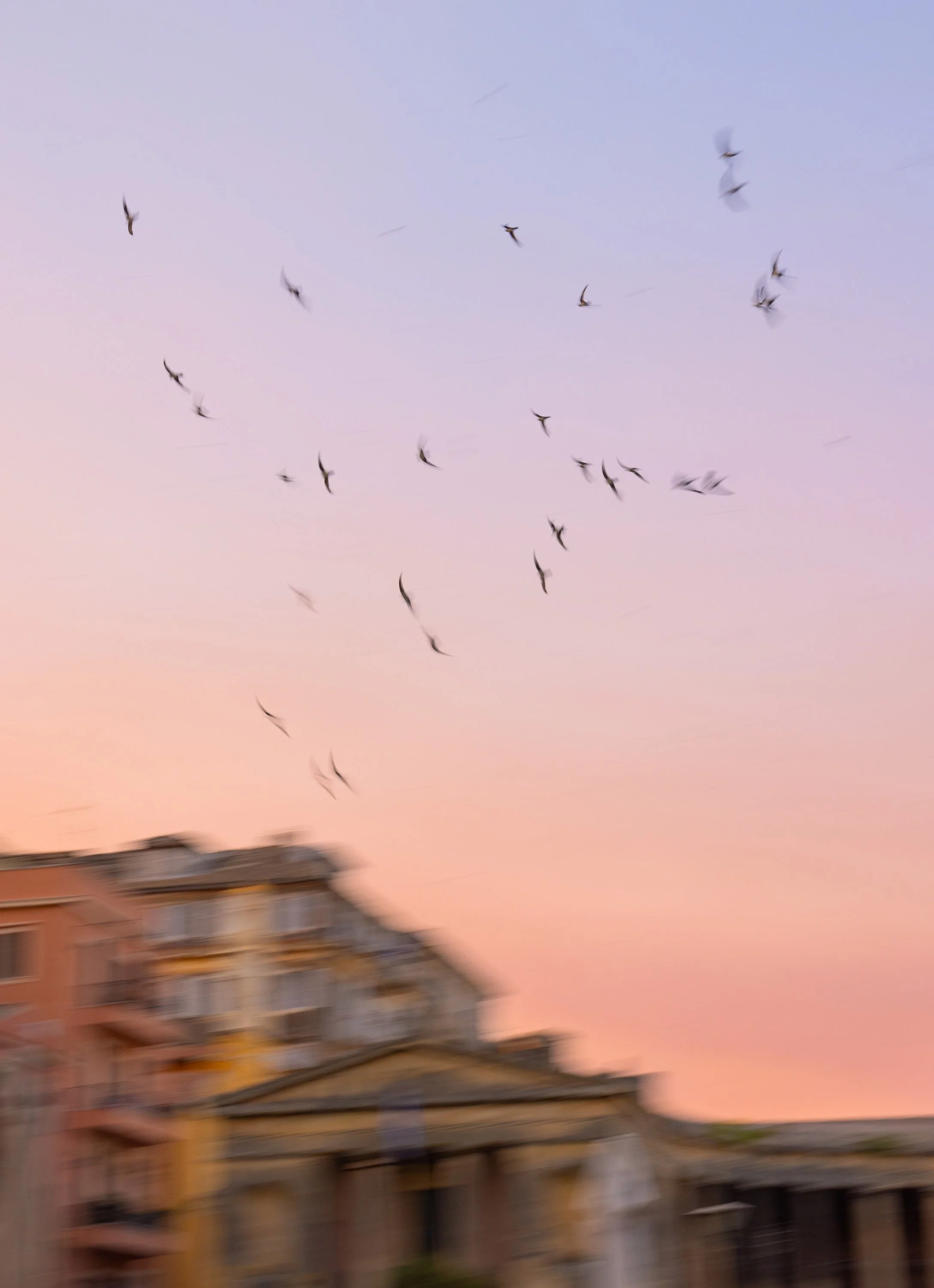 Corfu2025_3687.jpg