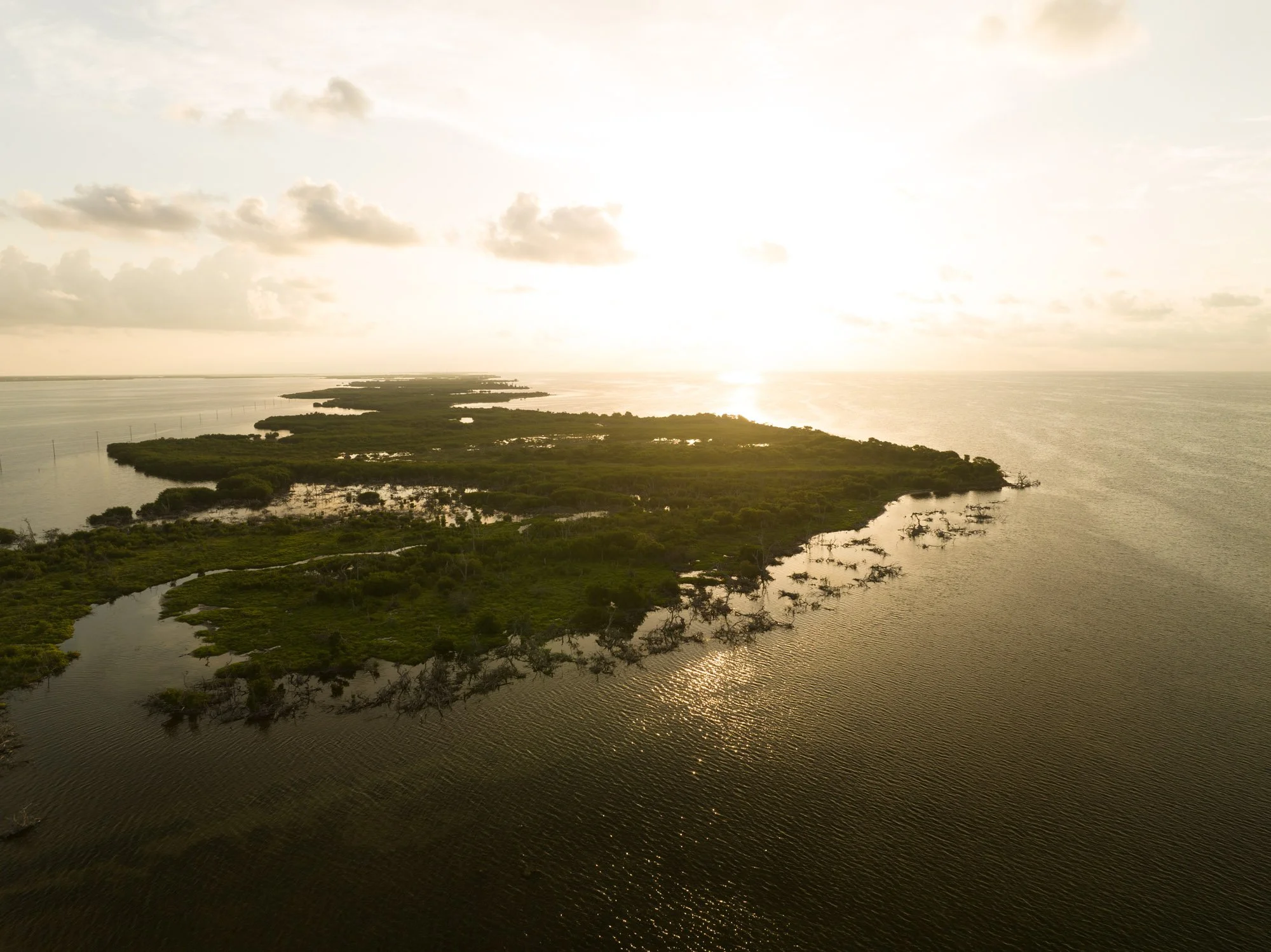 DJI_20250916073624_0047_D.jpg