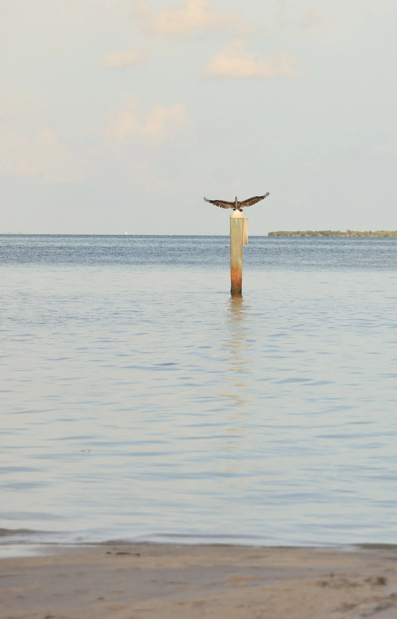 CD__0962.jpg