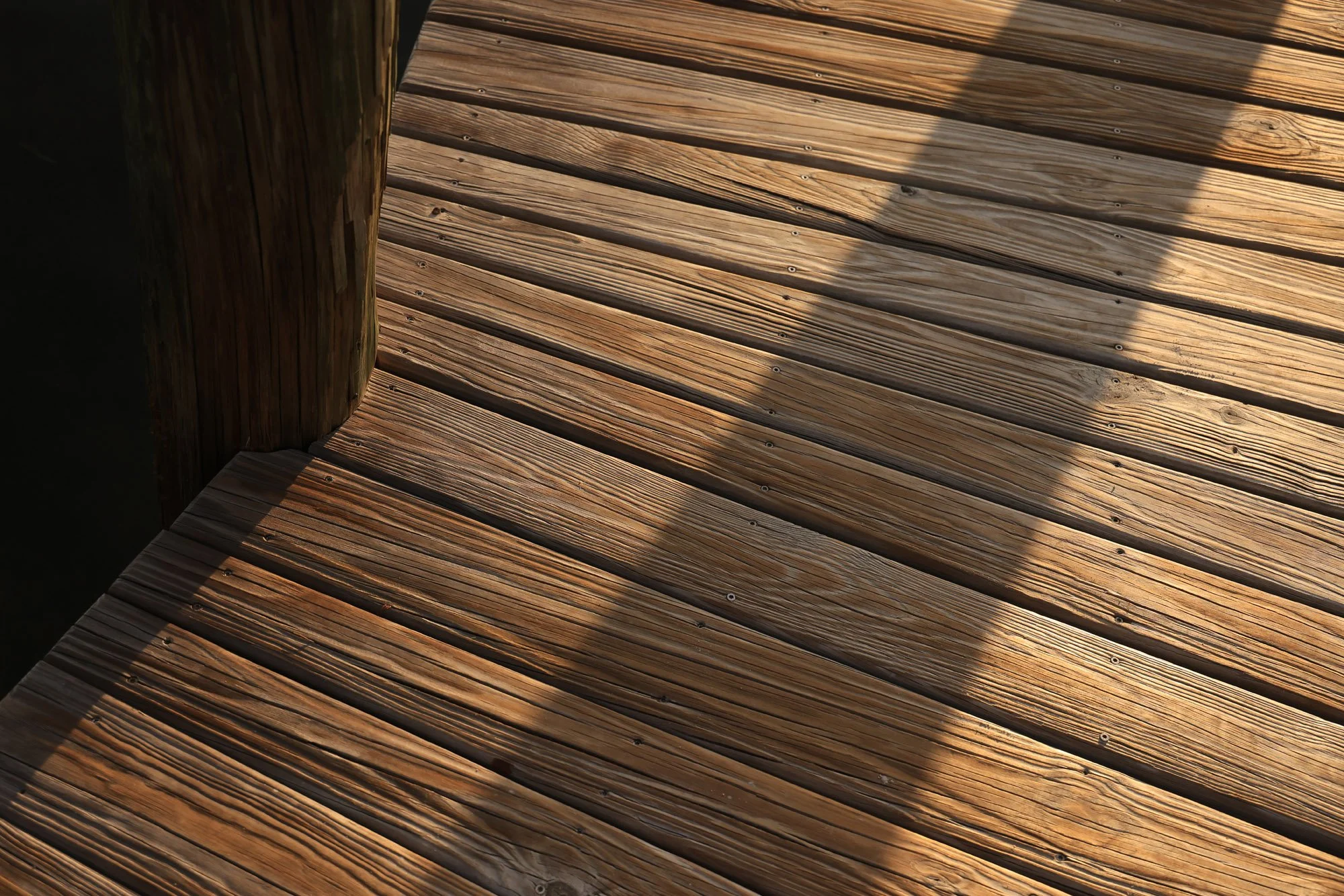 CD__0958.jpg