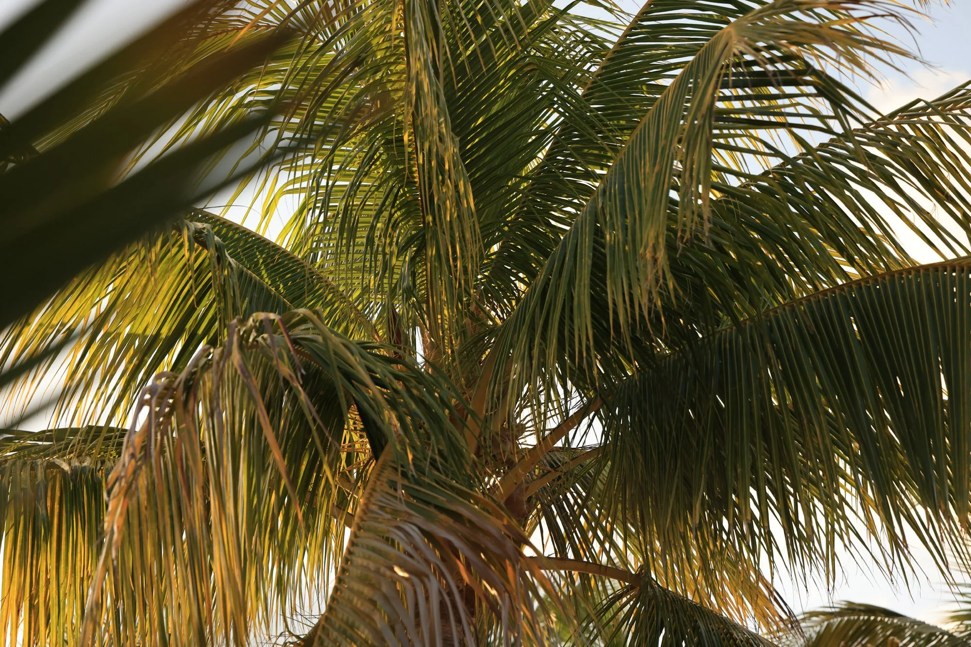 CD__0909.jpg