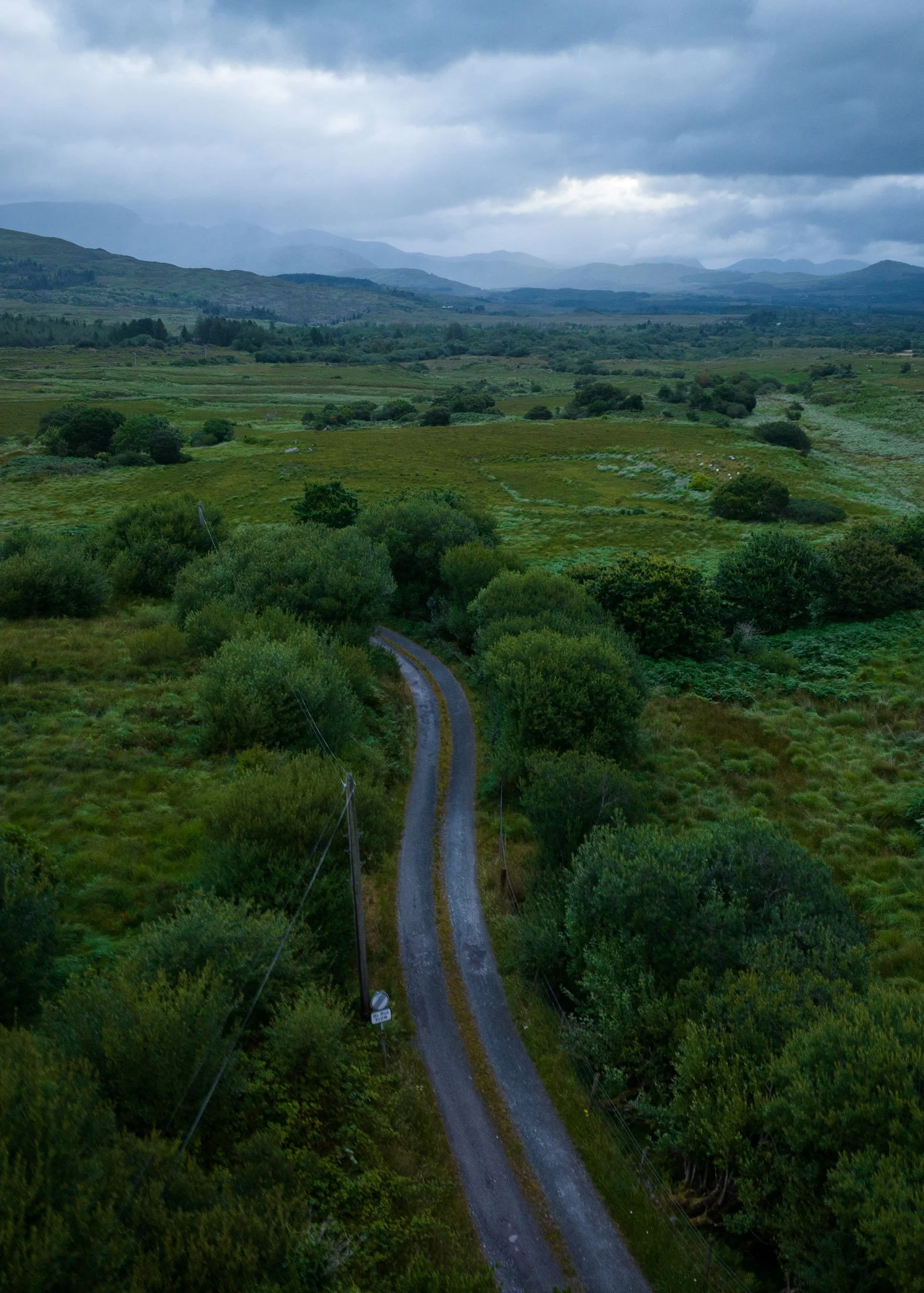 DJI_20260726004801_0136_D.jpg