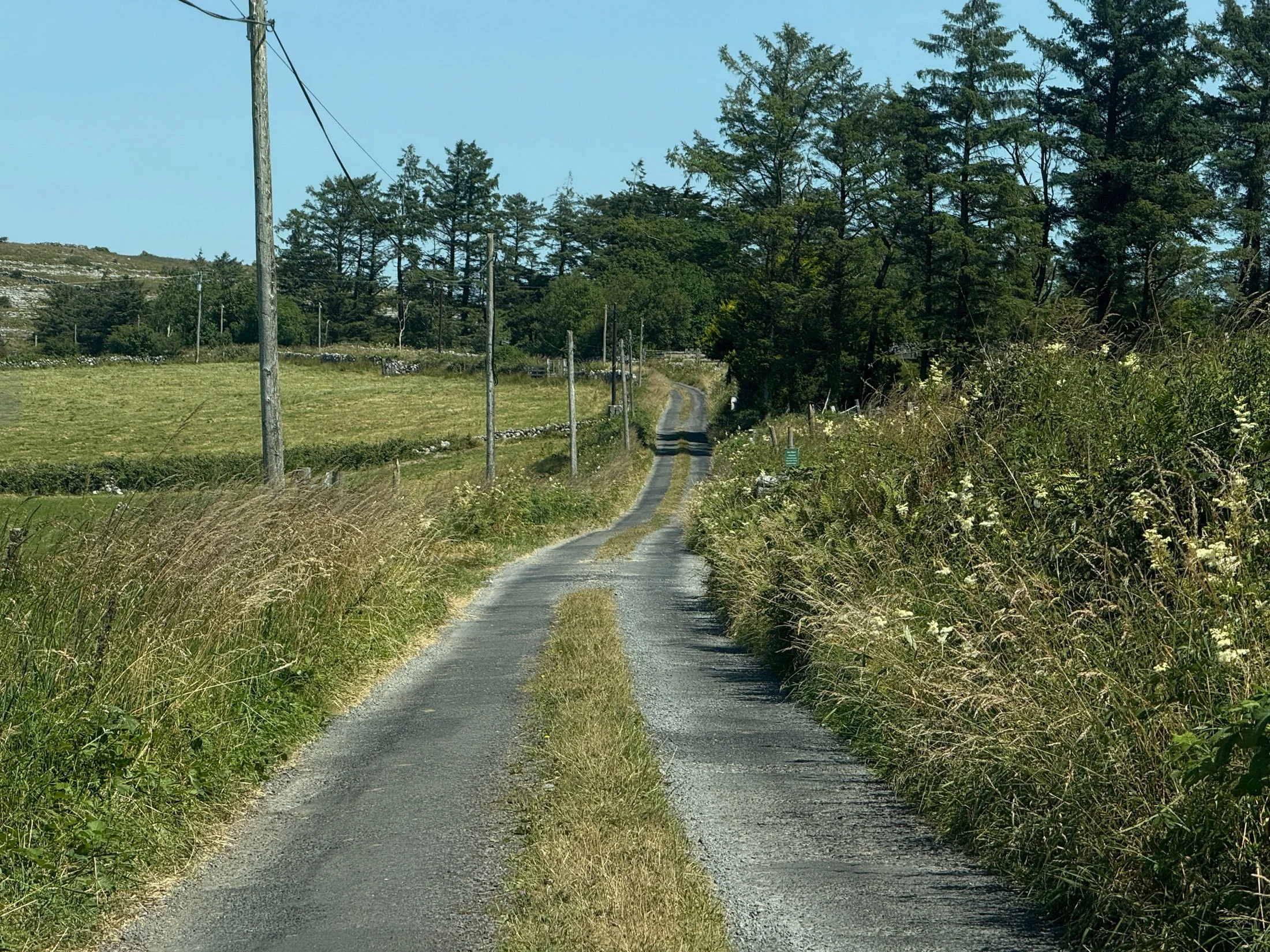 ireland-phone_018.jpg