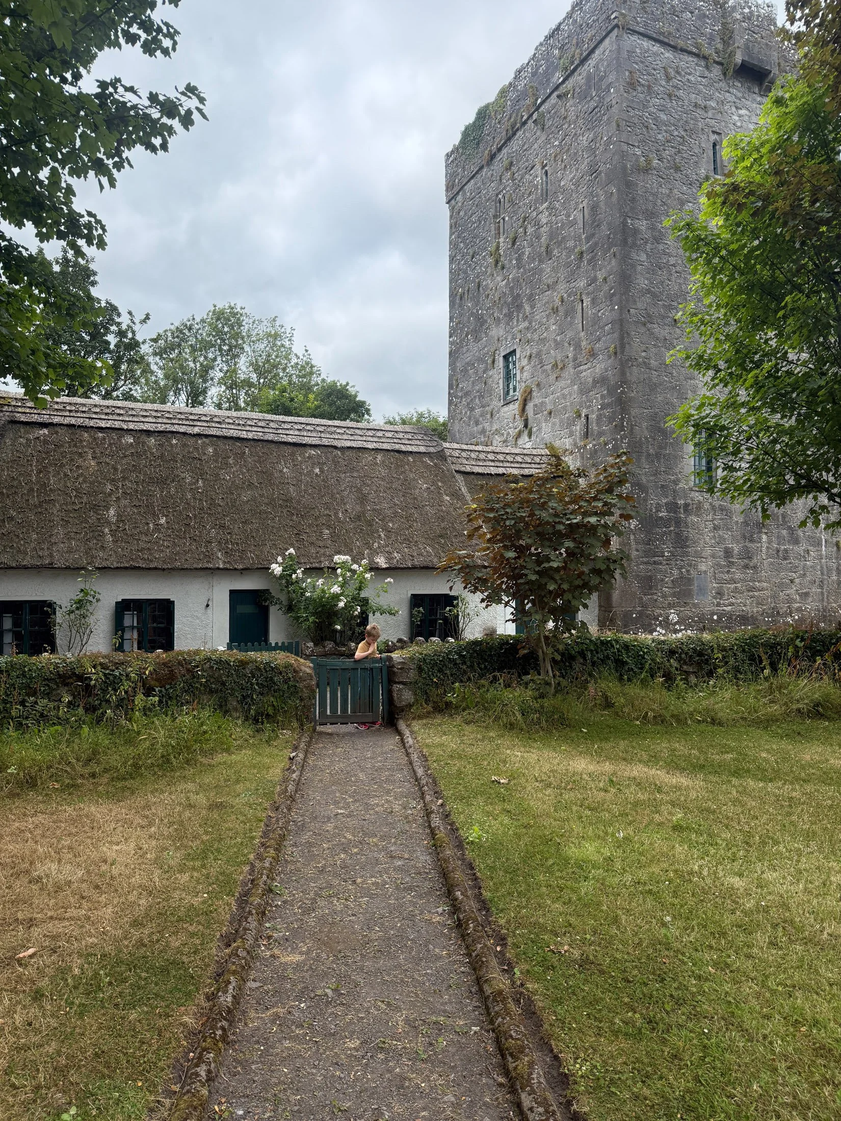 ireland-phone_036.jpg
