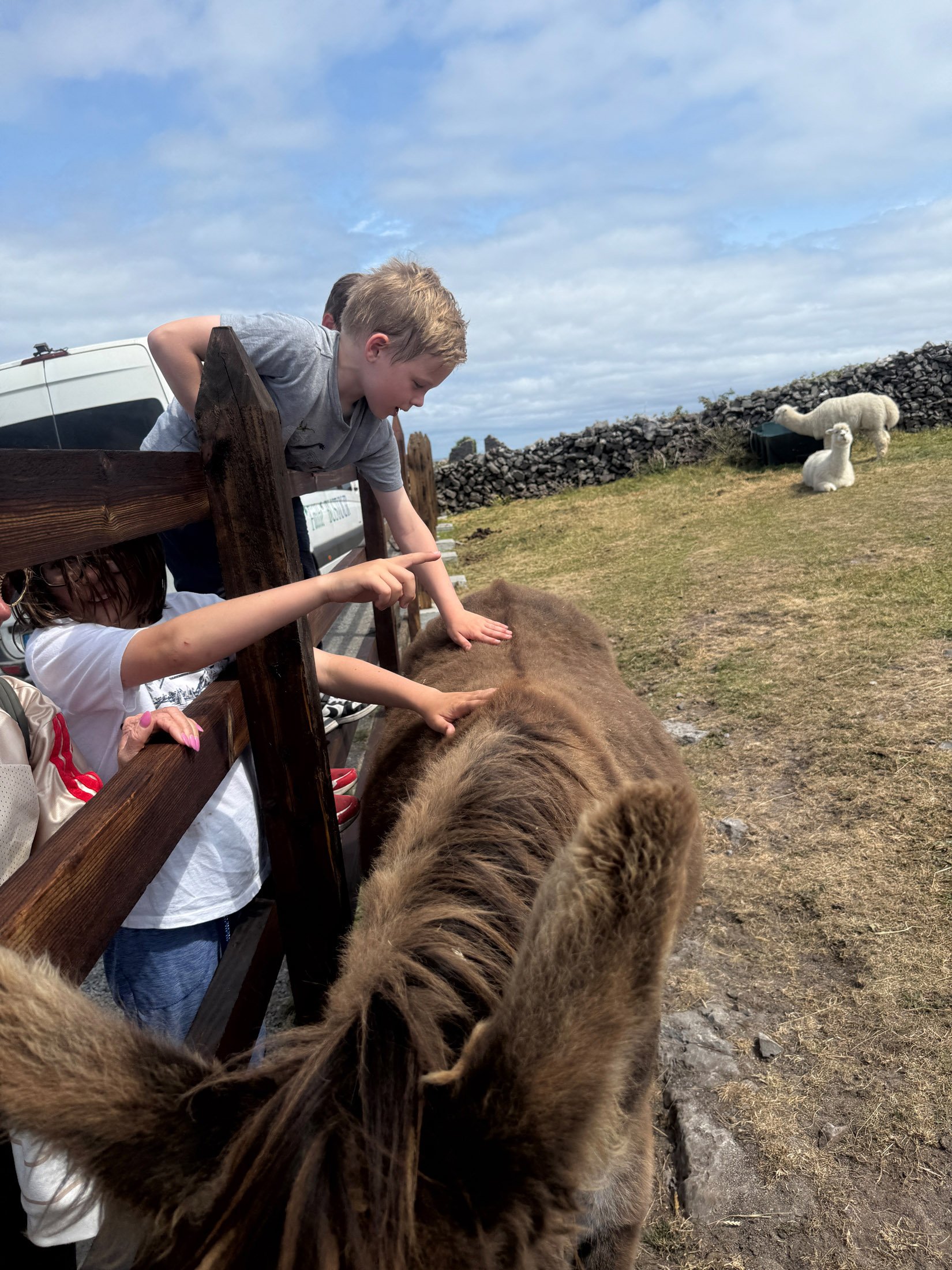 ireland-phone_055.jpg
