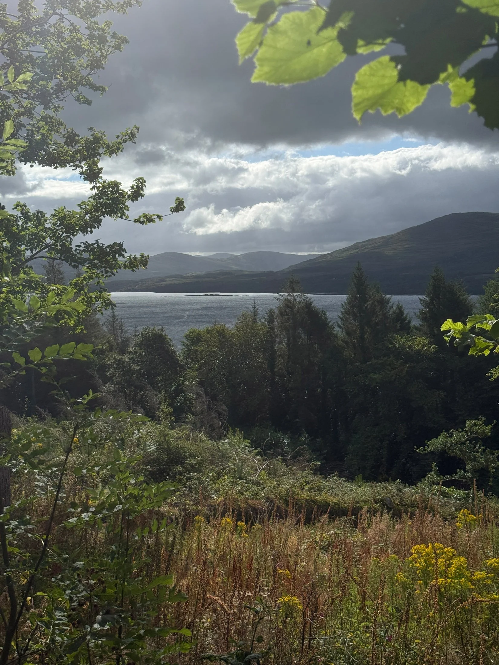 ireland-phone_100.jpg