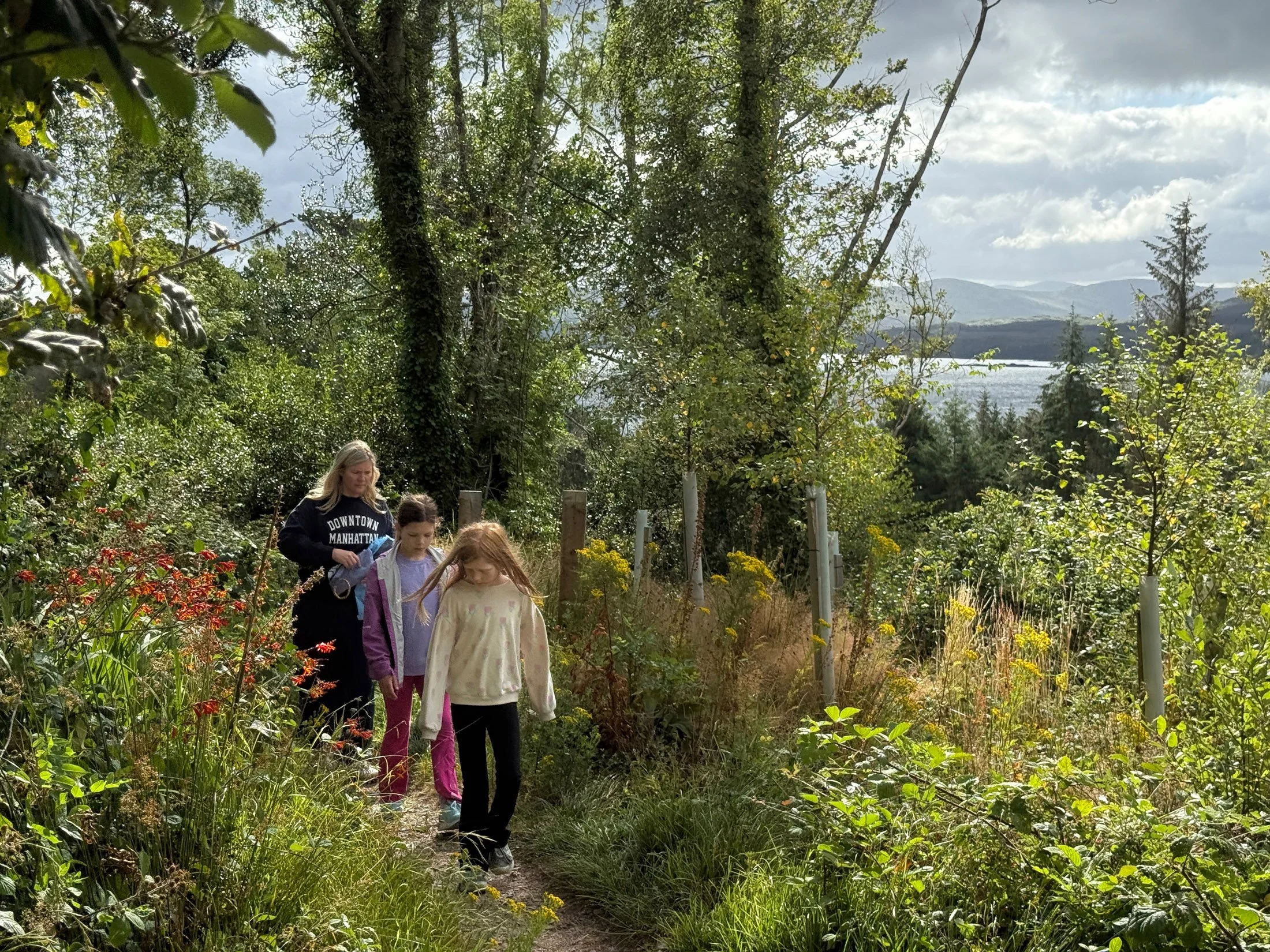 ireland-phone_101.jpg