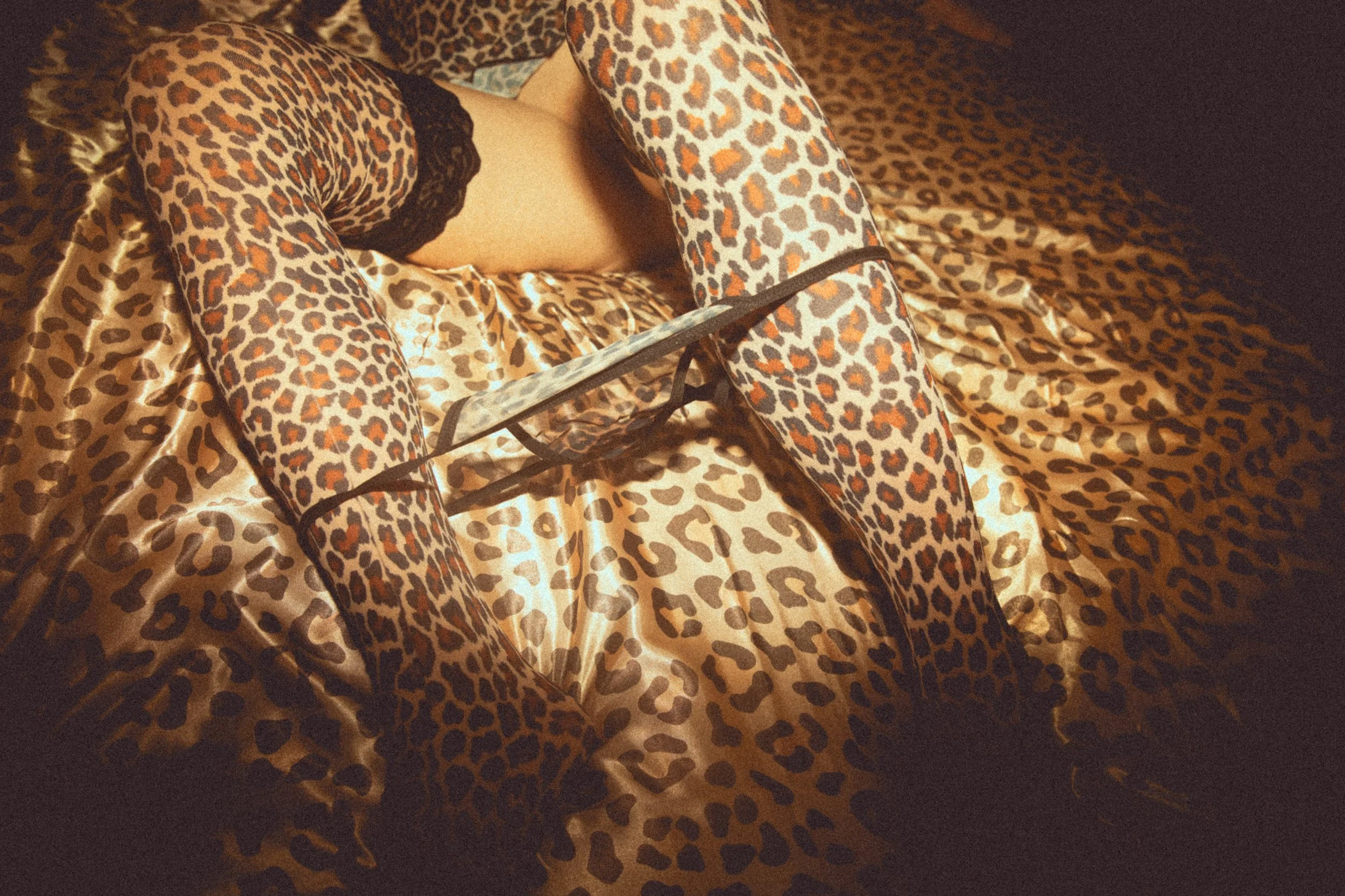 CD__8381_1.jpg