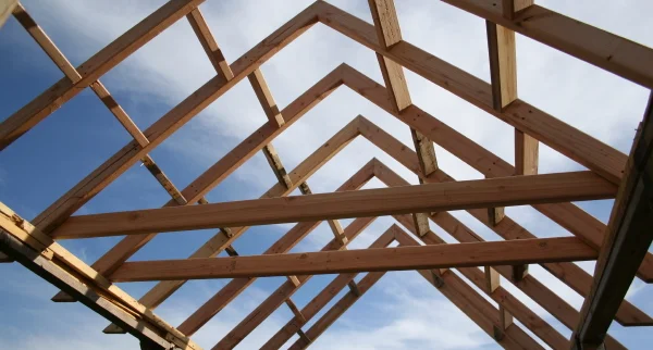 tiny-free-house-framed-roof-from-below.jpg
