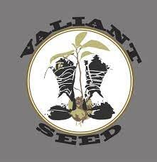 Valiant seed logo.jpg