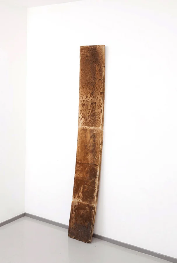 Untitled 2012 Polystyrene foam 230 x 31 x 6cm