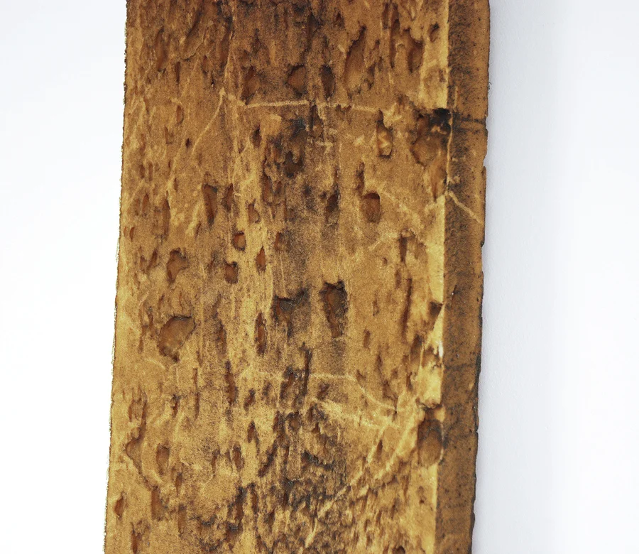 a_thompson_19.jpg