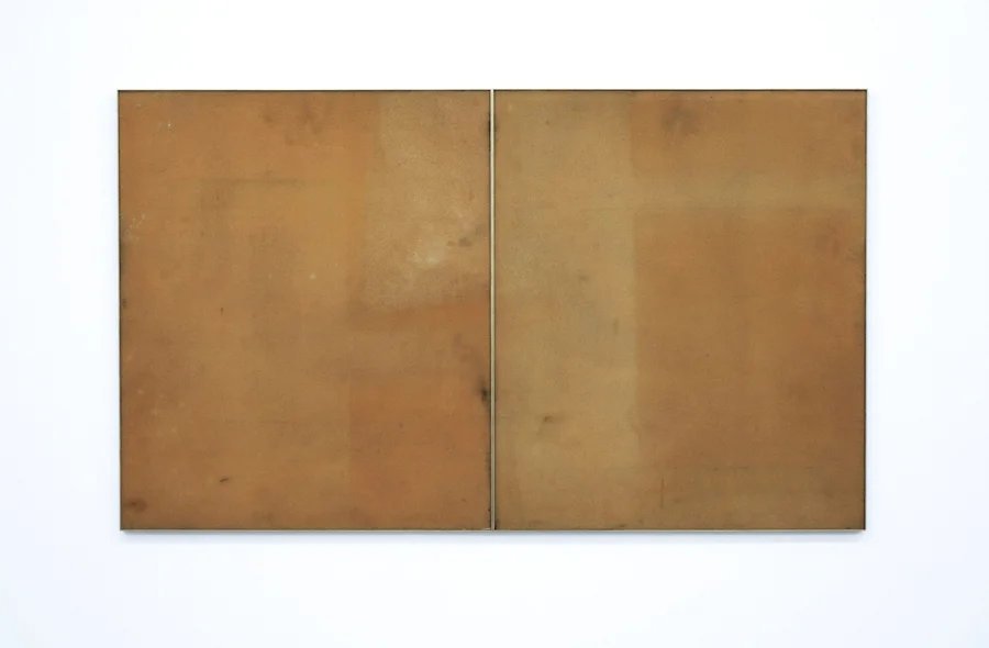 Untitled 2010 Solarized foam sheets, brass frame diptych 112 cm x 66cm