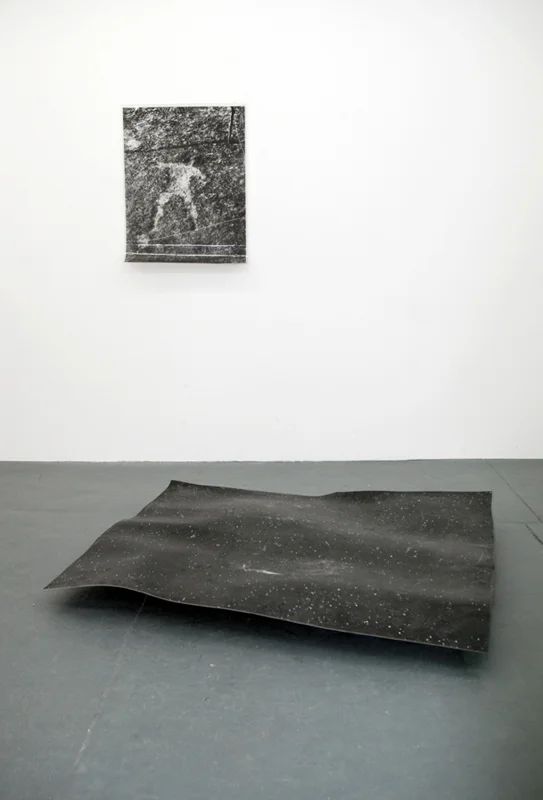 Untitled (Part of The Z Archive ) 2010 Contingent installation of multiple parts - ongoing Dimensions variable