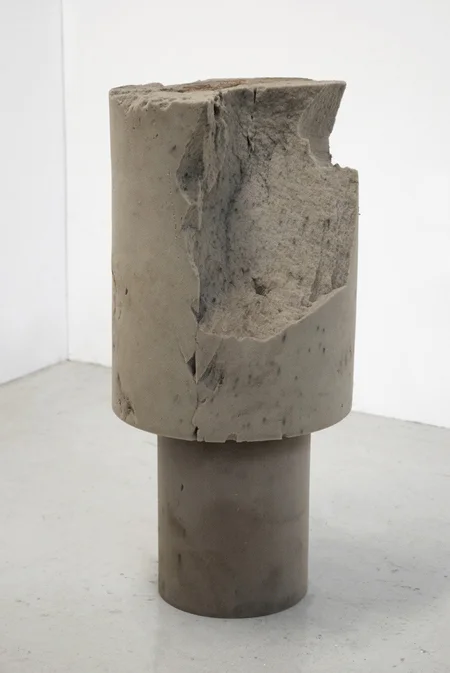 Untitled (Part of The Thanatosis of Objects series) 2009 Two foam cylinders 71 x 40cm