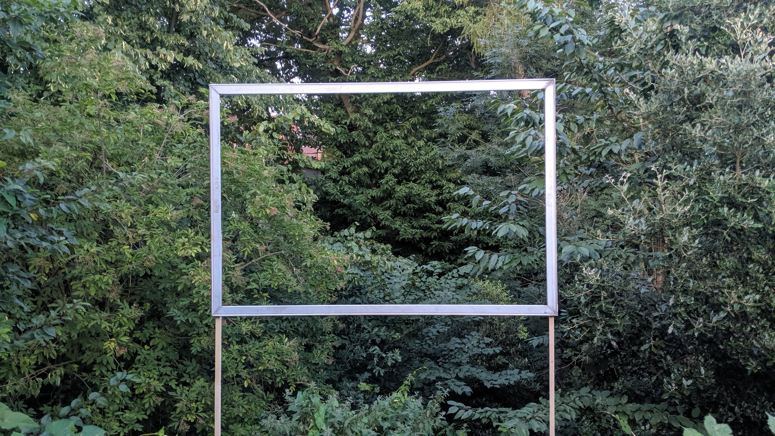   Looks like the broad leaf is Laurel, with Spruce /Conifer above, can't make out exactly but on the left looks like Elder with tree ivy growing through it , 2019.  Aluminium frame, wood 