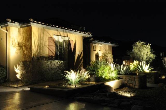 Agave Shadow Imprint on House