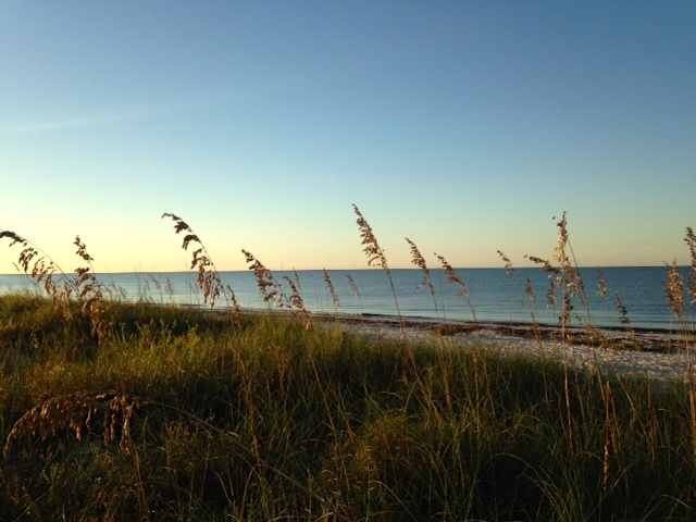 The Coast at Alligator Point, Florida