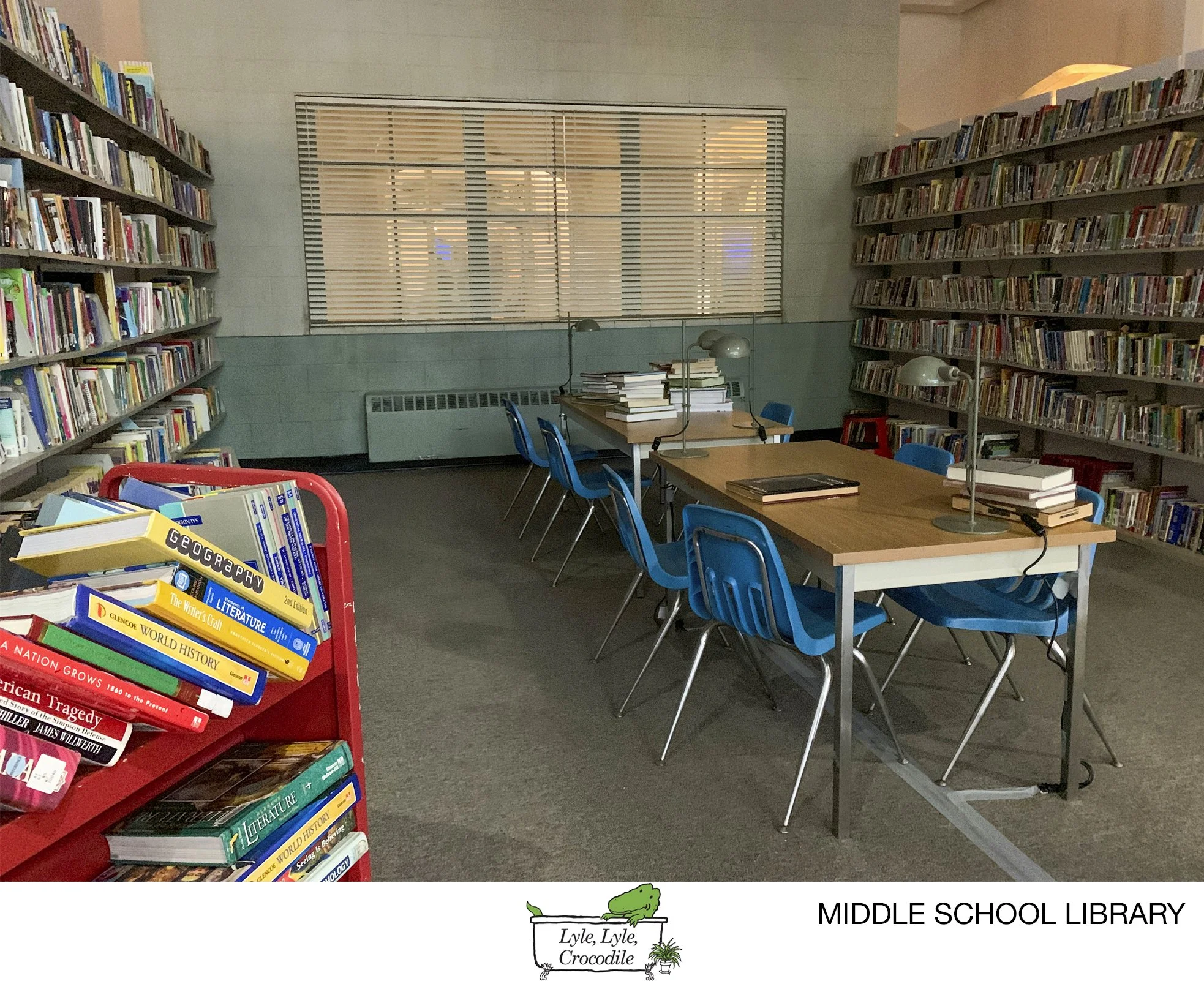 LLC - Middle School Library.jpg