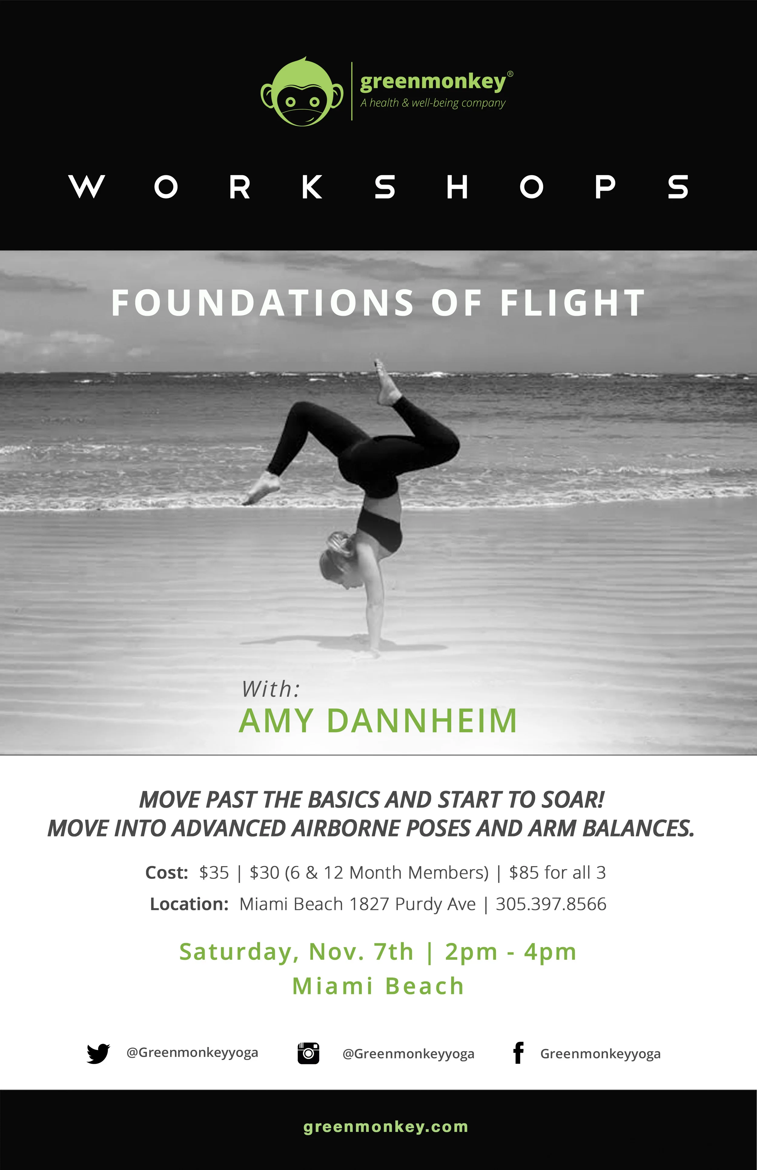 Foundations of Flight: Arm Balancing and Inversions