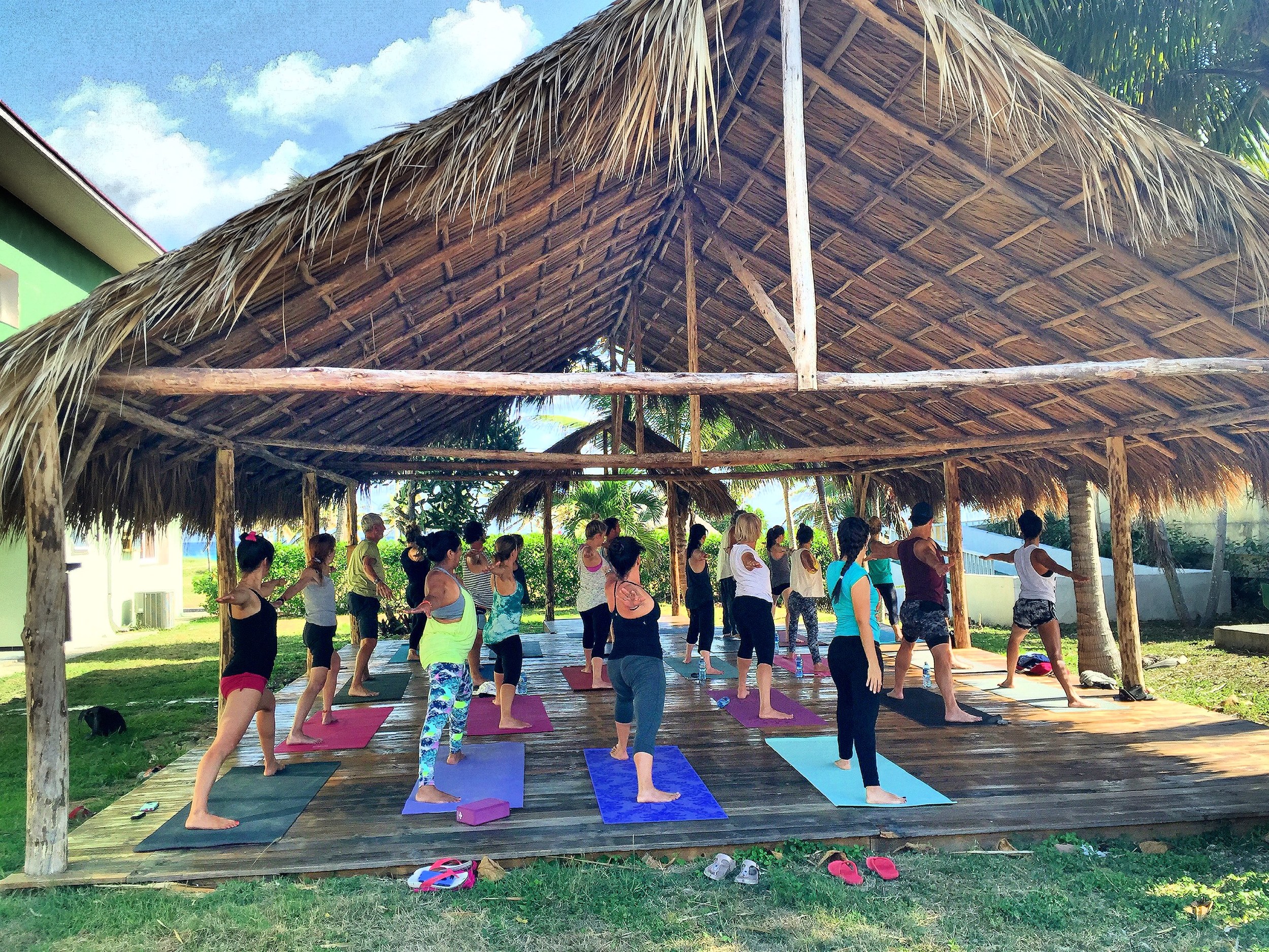yoga in tarara