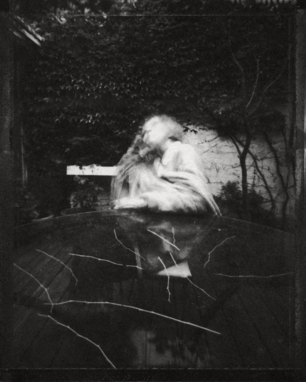  brace-stille,  grammie at ninety,  ziatype 