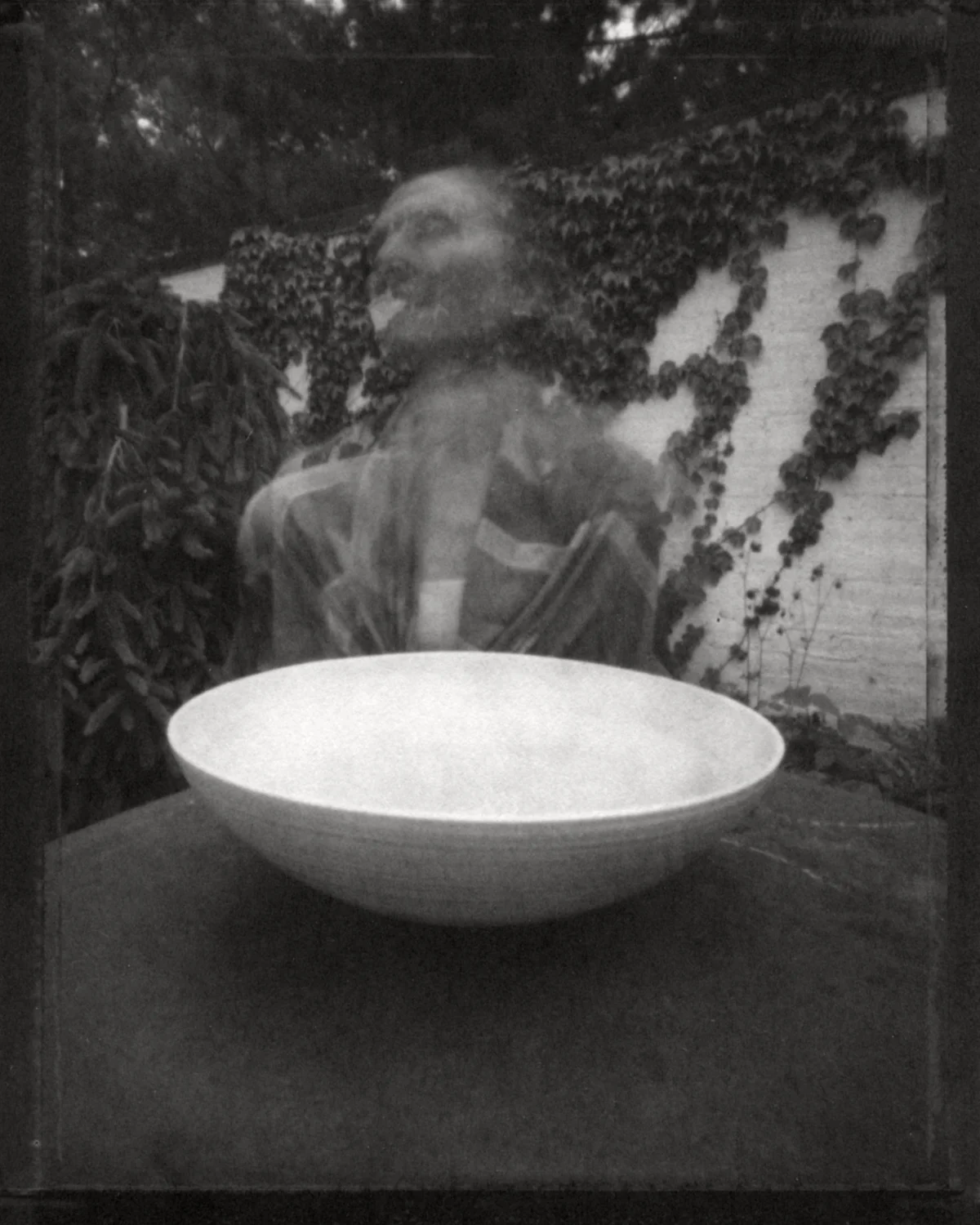  brace-stille,  cleanse,  ziatype 