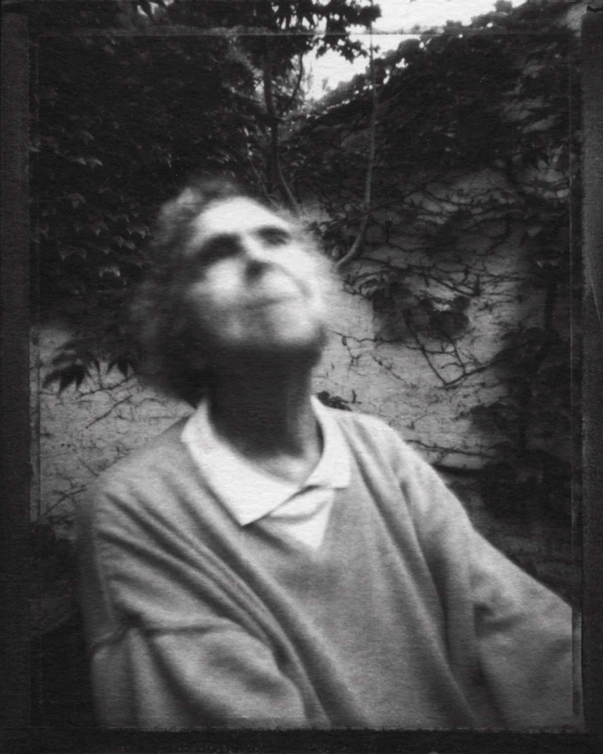  brace-stille,  rain,  ziatype 