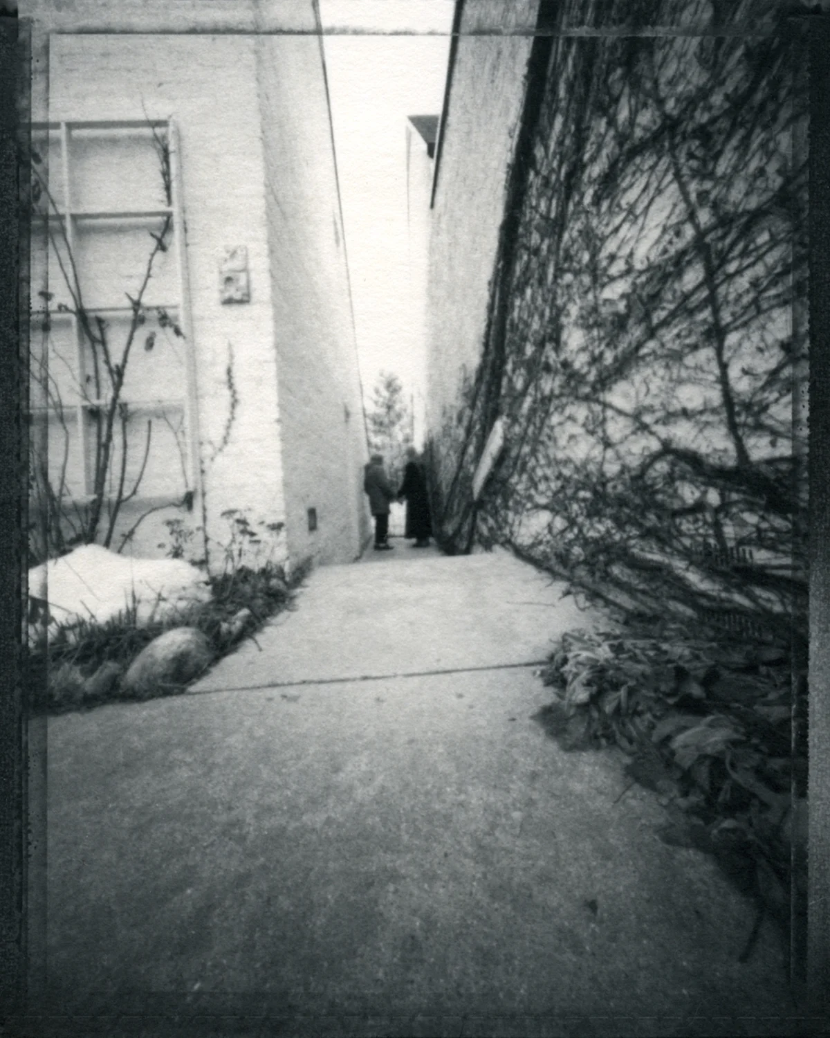  brace-stille,  passage,  ziatype 