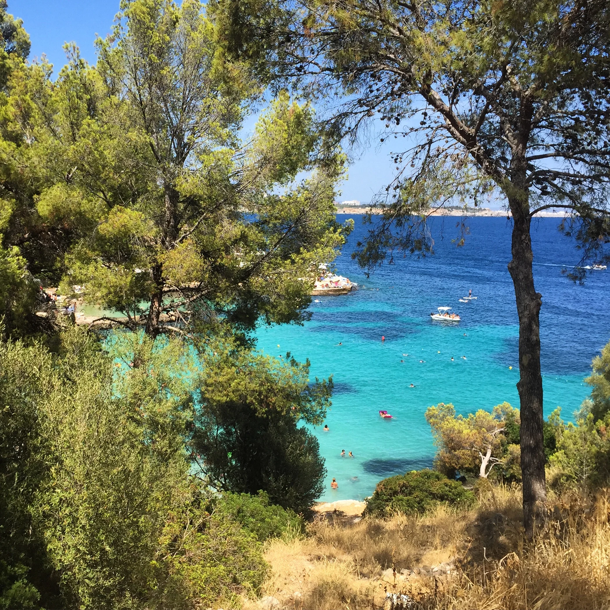 Our next trip: Spain!!