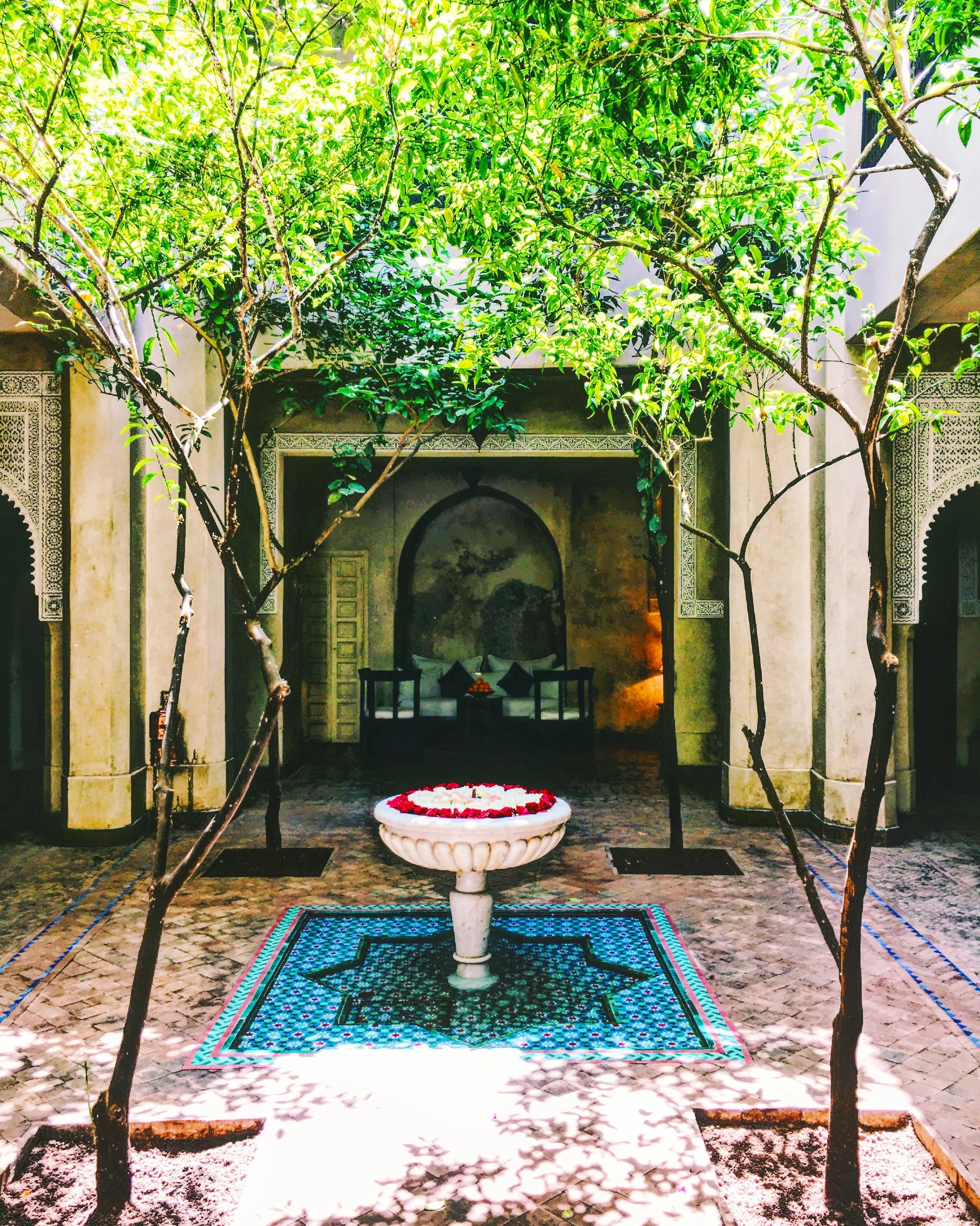 Dar Les Cigognes: Our Riad Oasis in Marrakech, Morocco