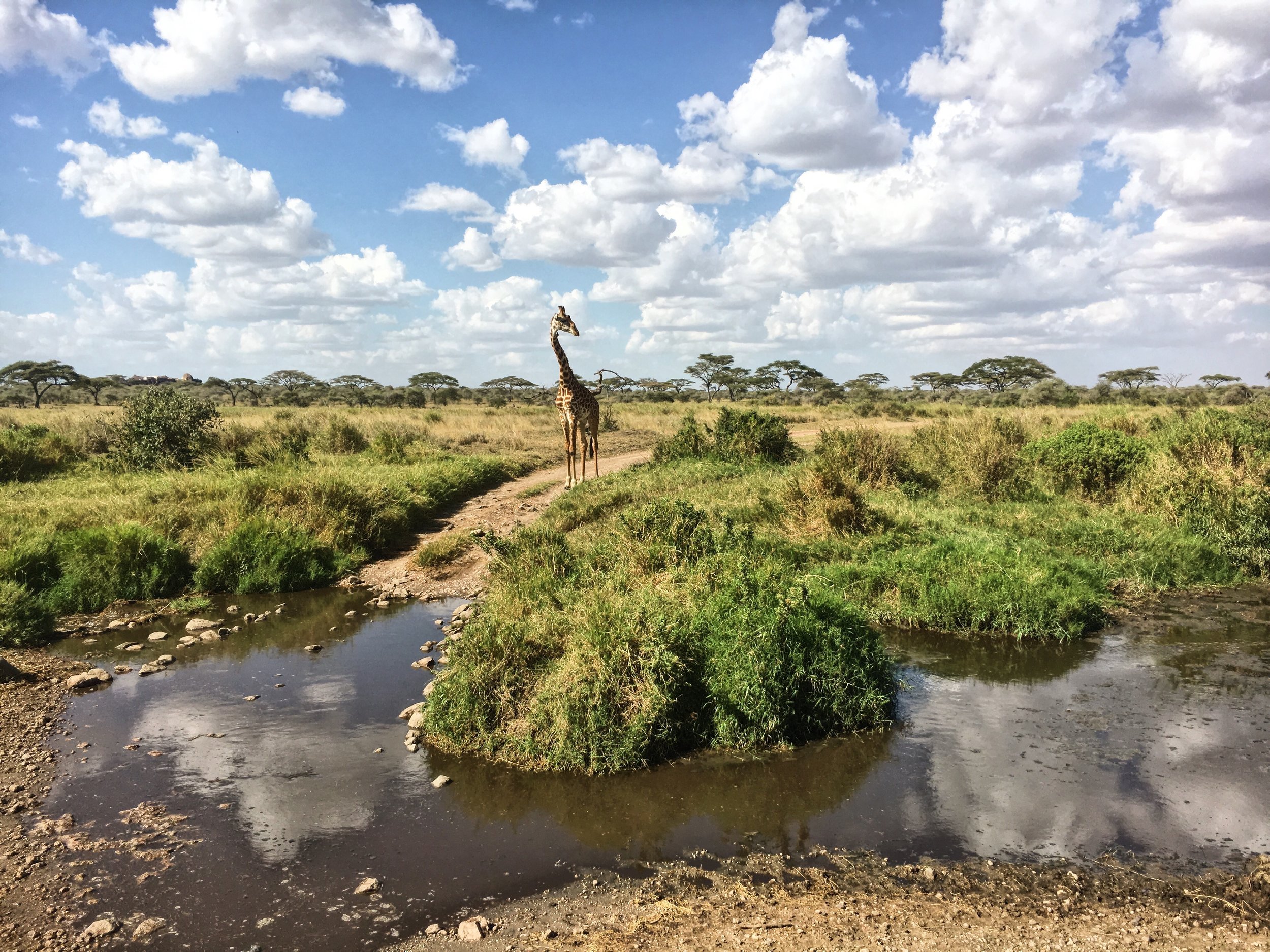 Our African Safari Itinerary