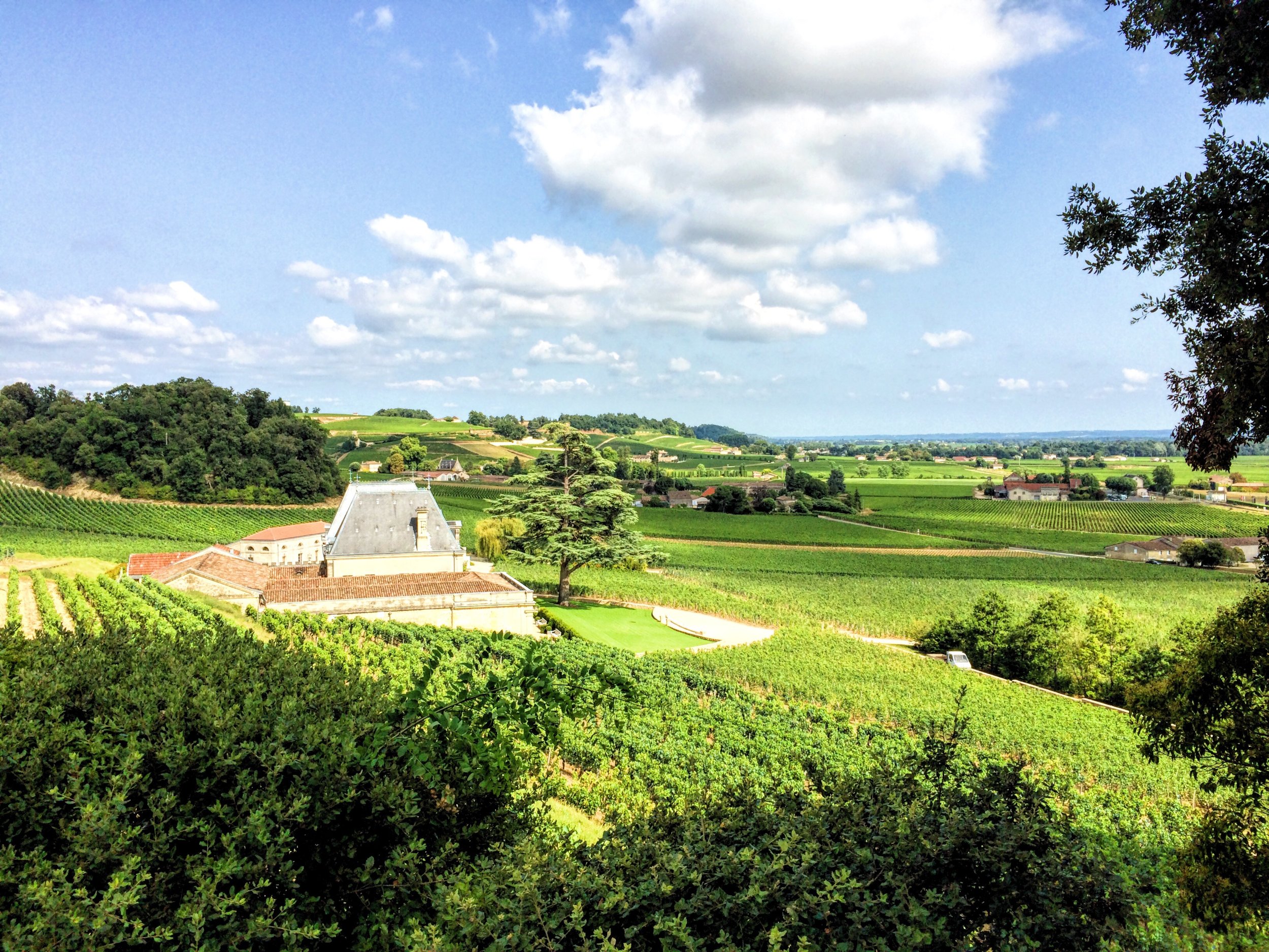 24 hours in Saint-Emilion