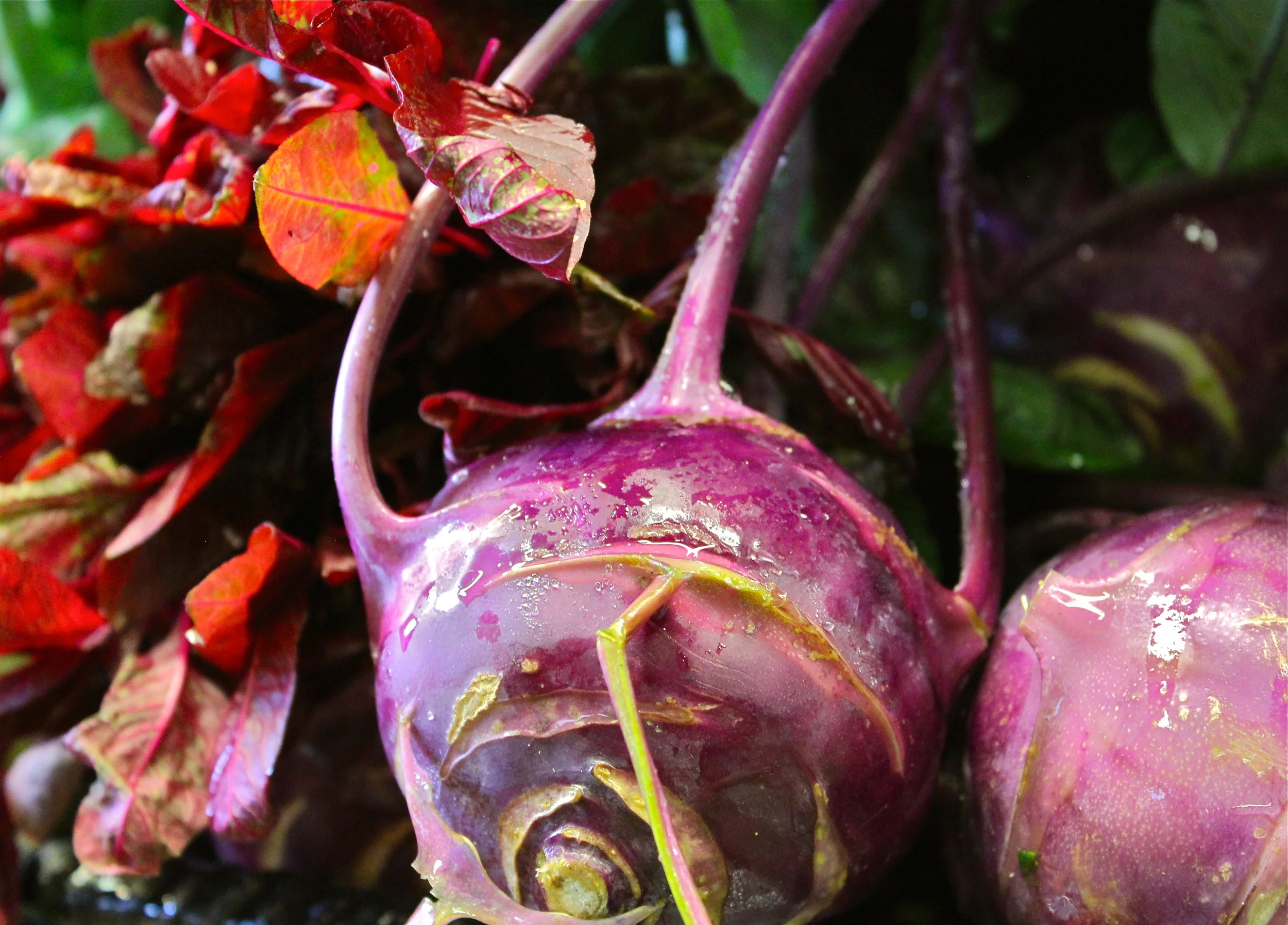 Gorgeous purple kohlrabi on the shelves at Argus.