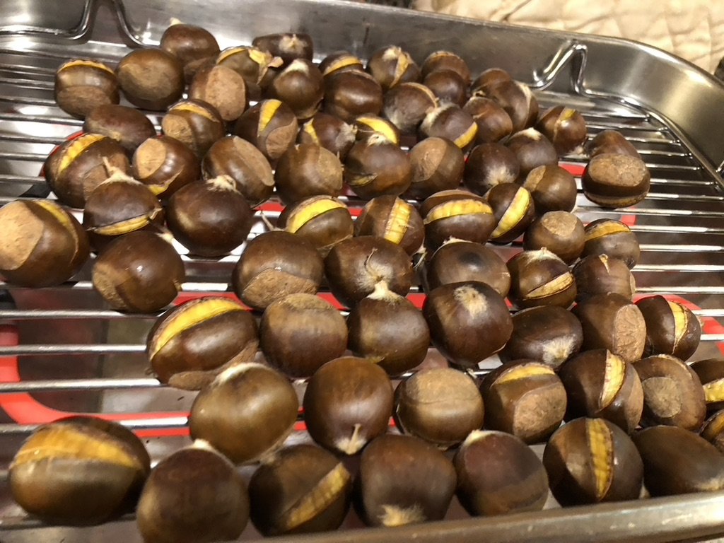 Chestnuts and Hazelnuts in Michigan: Vicary Road Farm