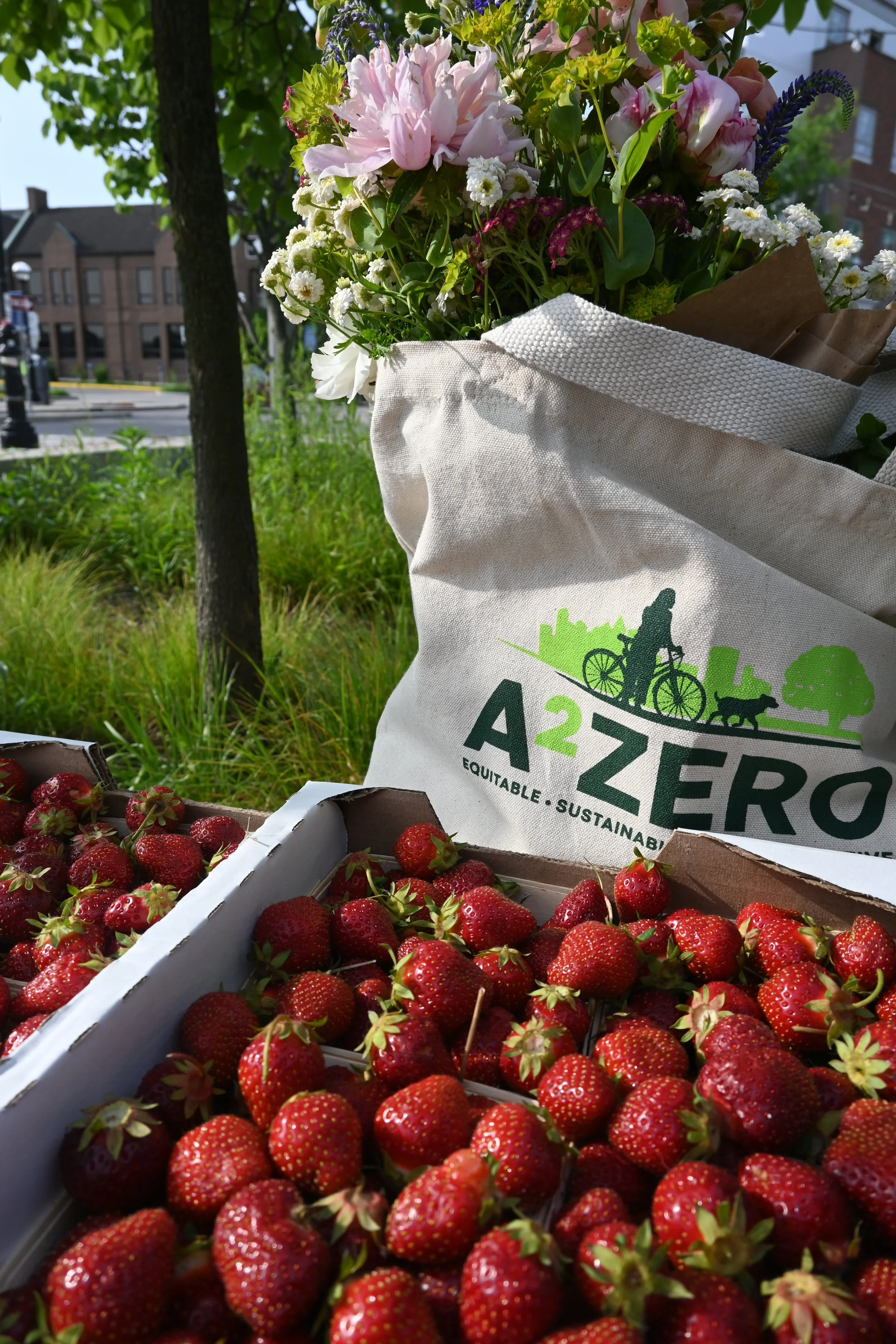 Local Is Sustainable: Farm Stop Sustainability with A2Zero