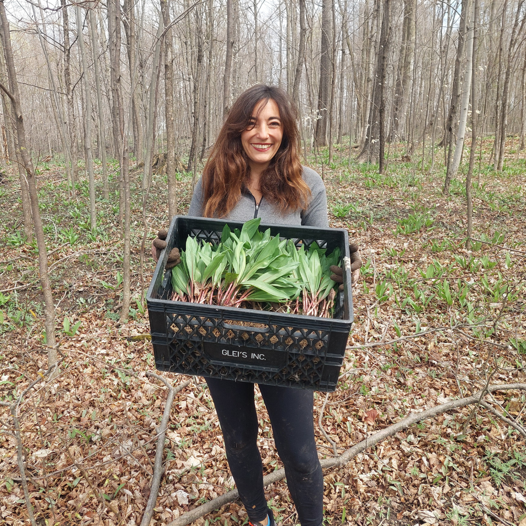 What are Ramps, the Michigan native alliums? — Argus Farm Stop ...