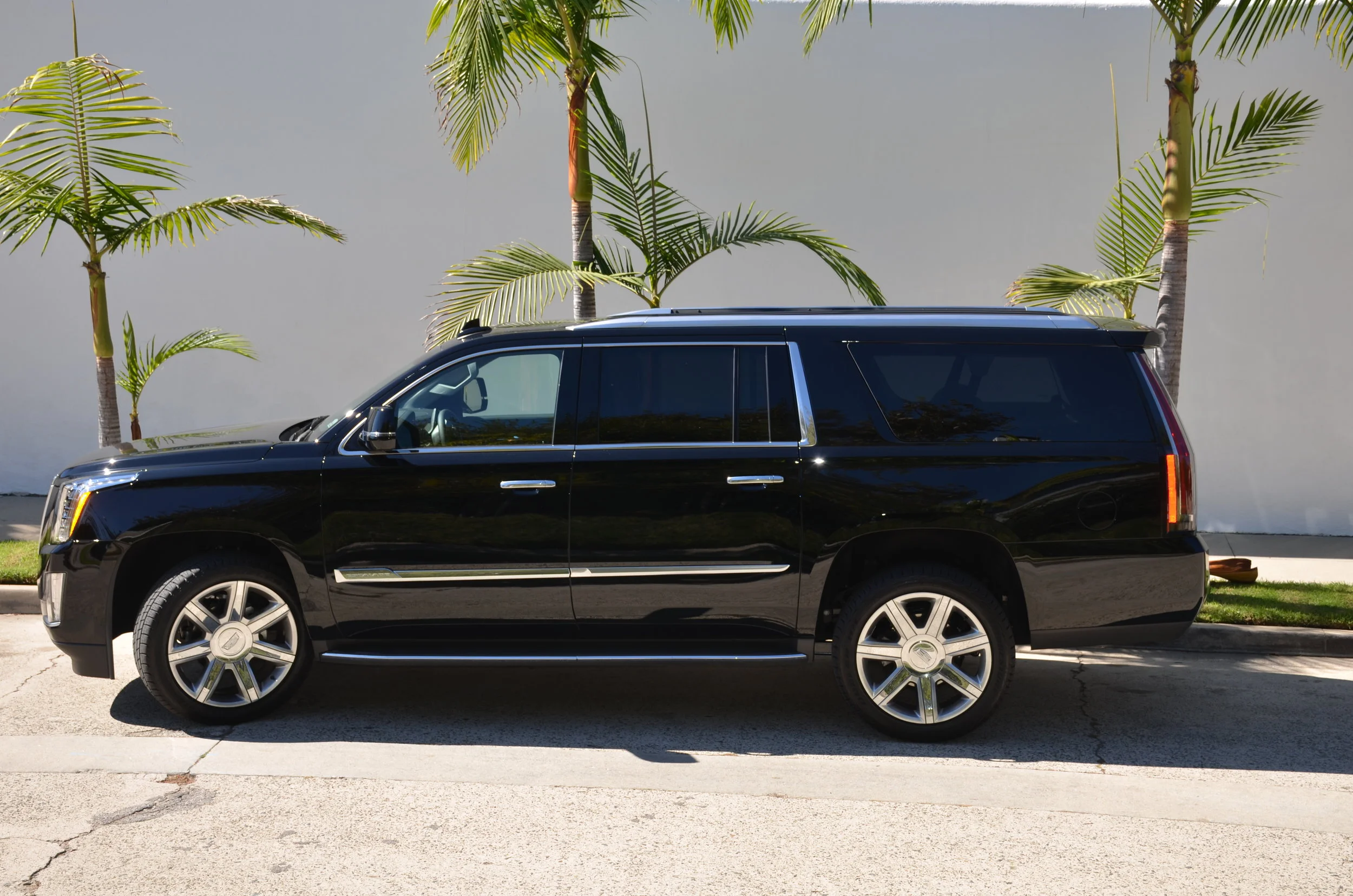 Left Side Profile.JPG