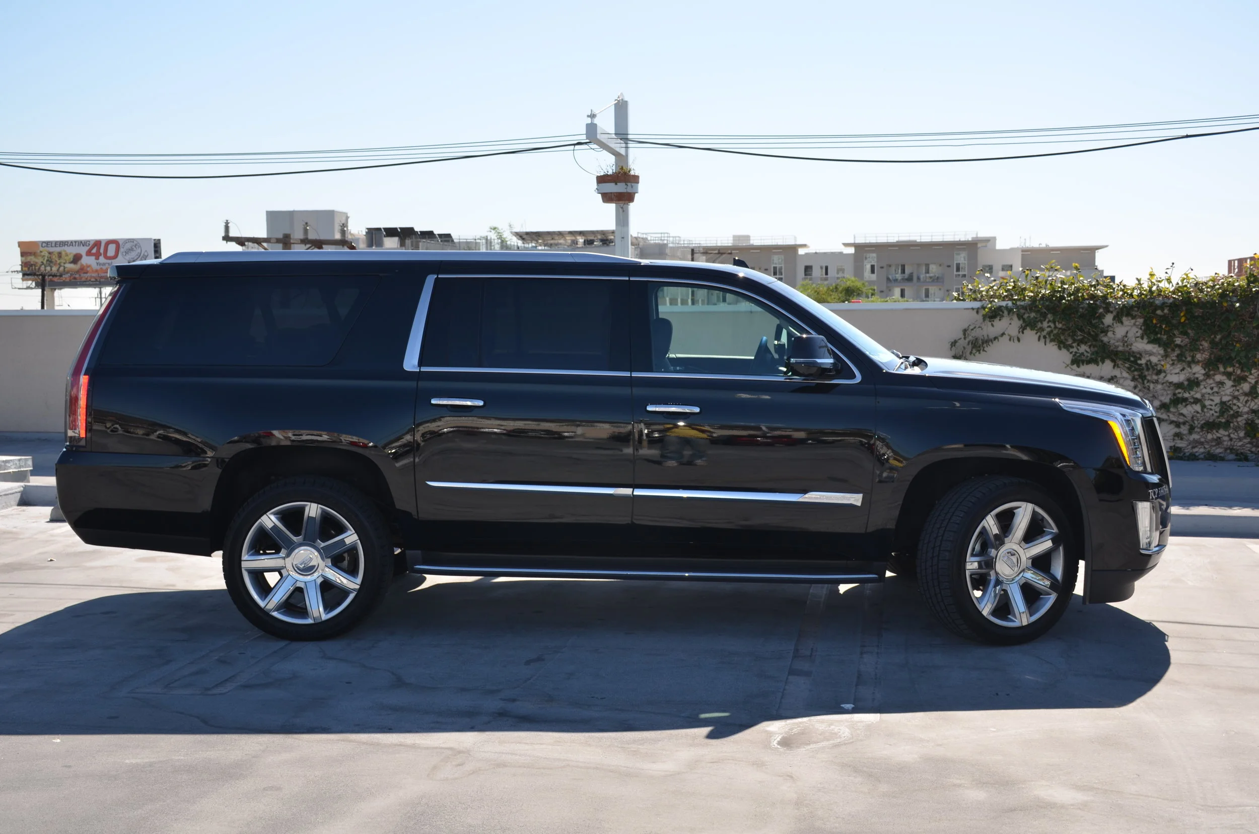 Right Side Profile.JPG