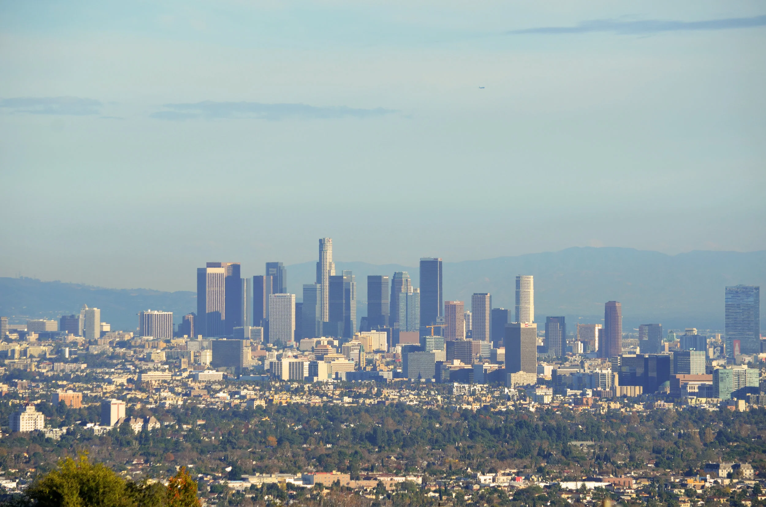 DTLA Skyline1.jpg
