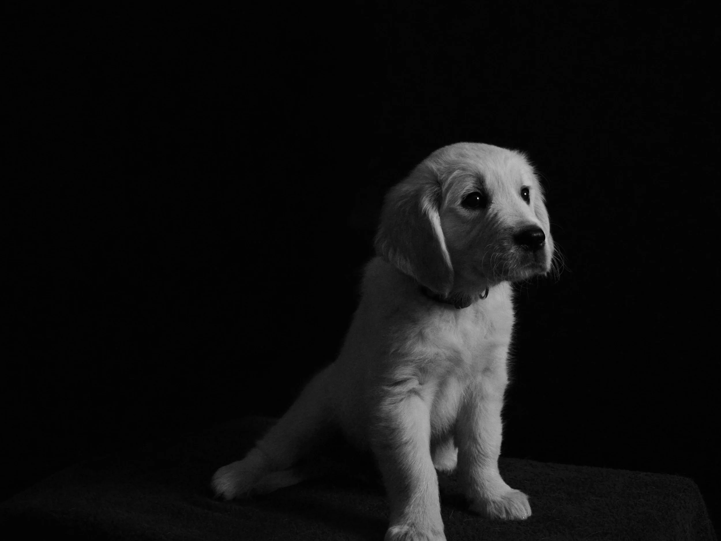 Ryder 2 - B&W - Mid Res.jpg