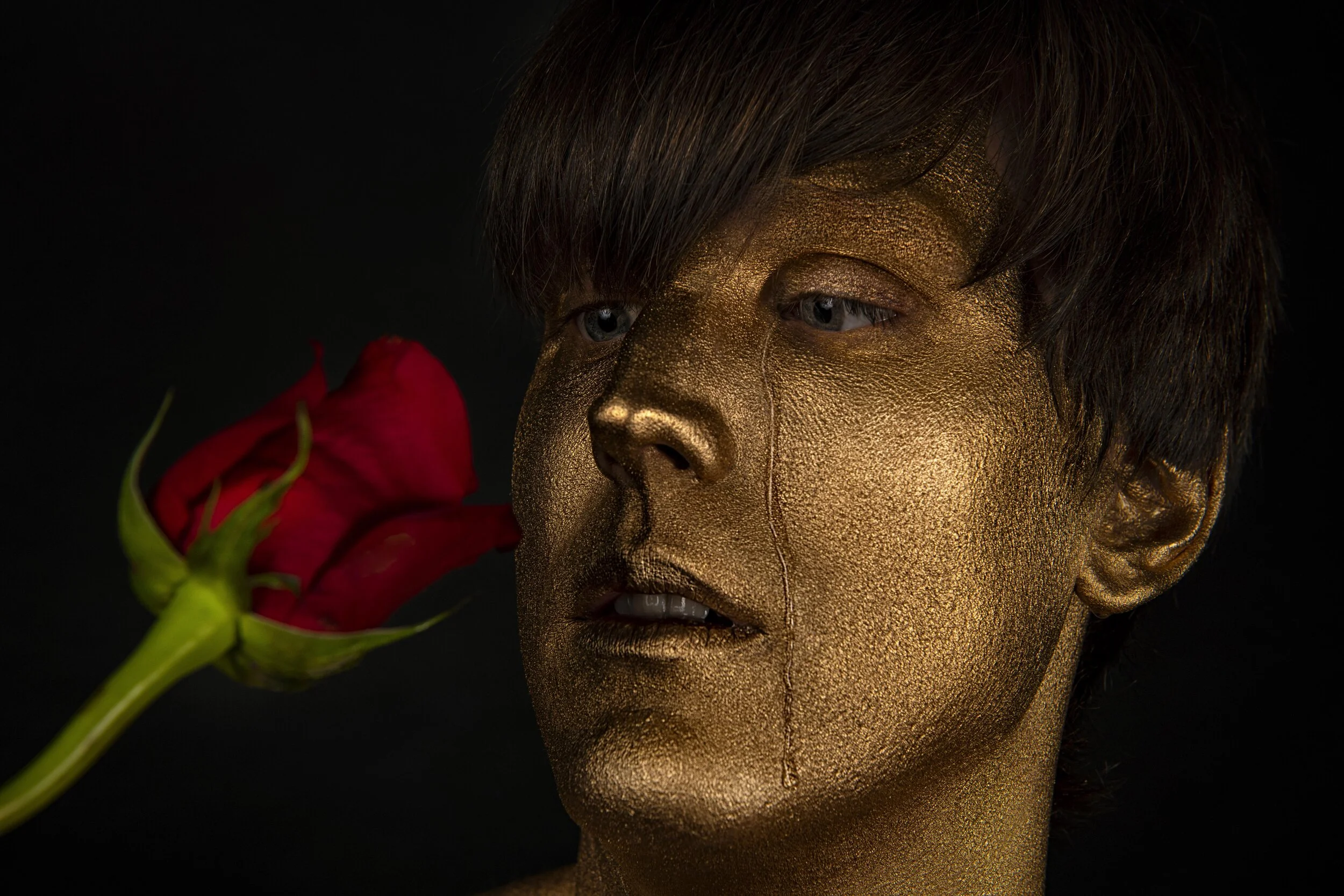 Golden Boy Admires Rose v1 - Mid Res.jpg