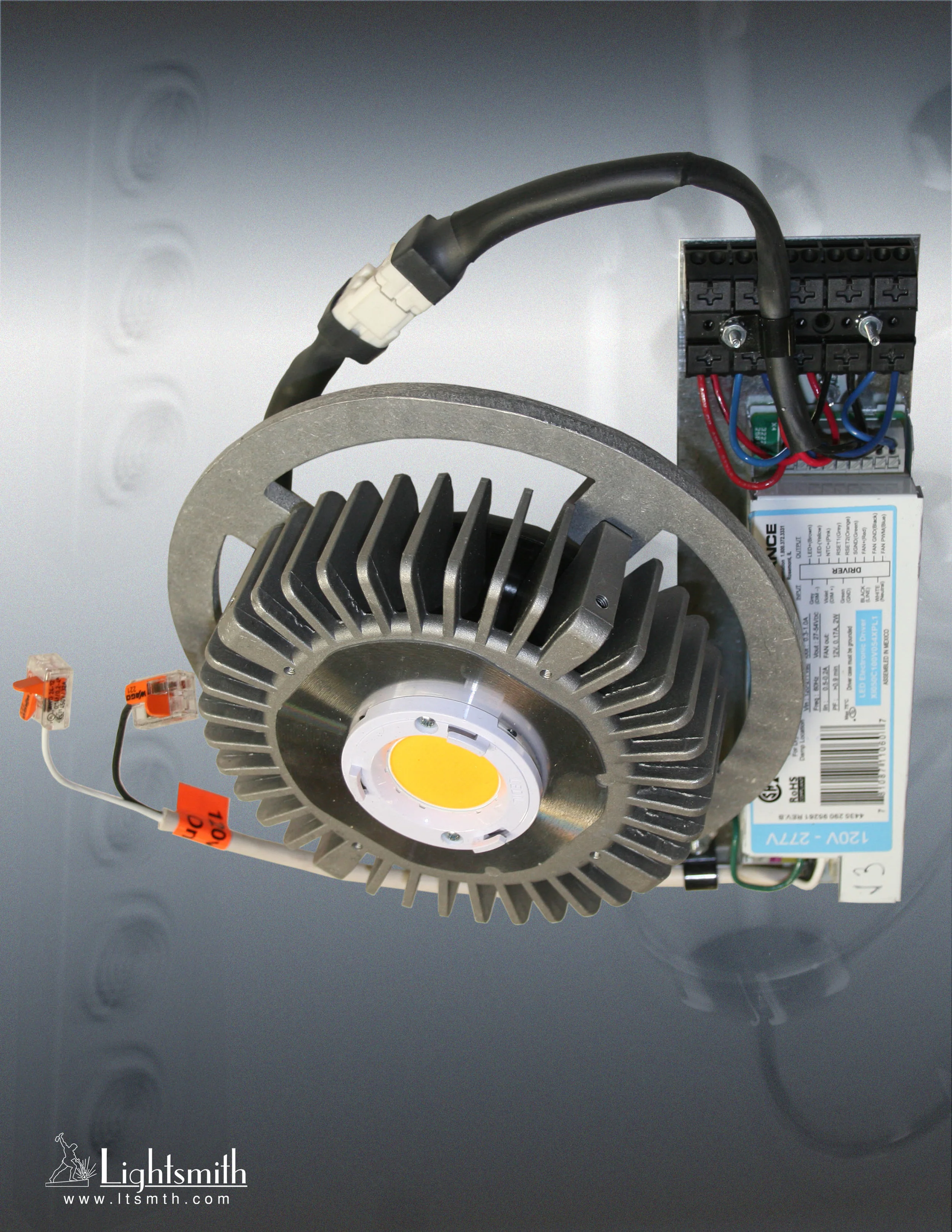 DR14-P56.64-LB-2018-L.jpg